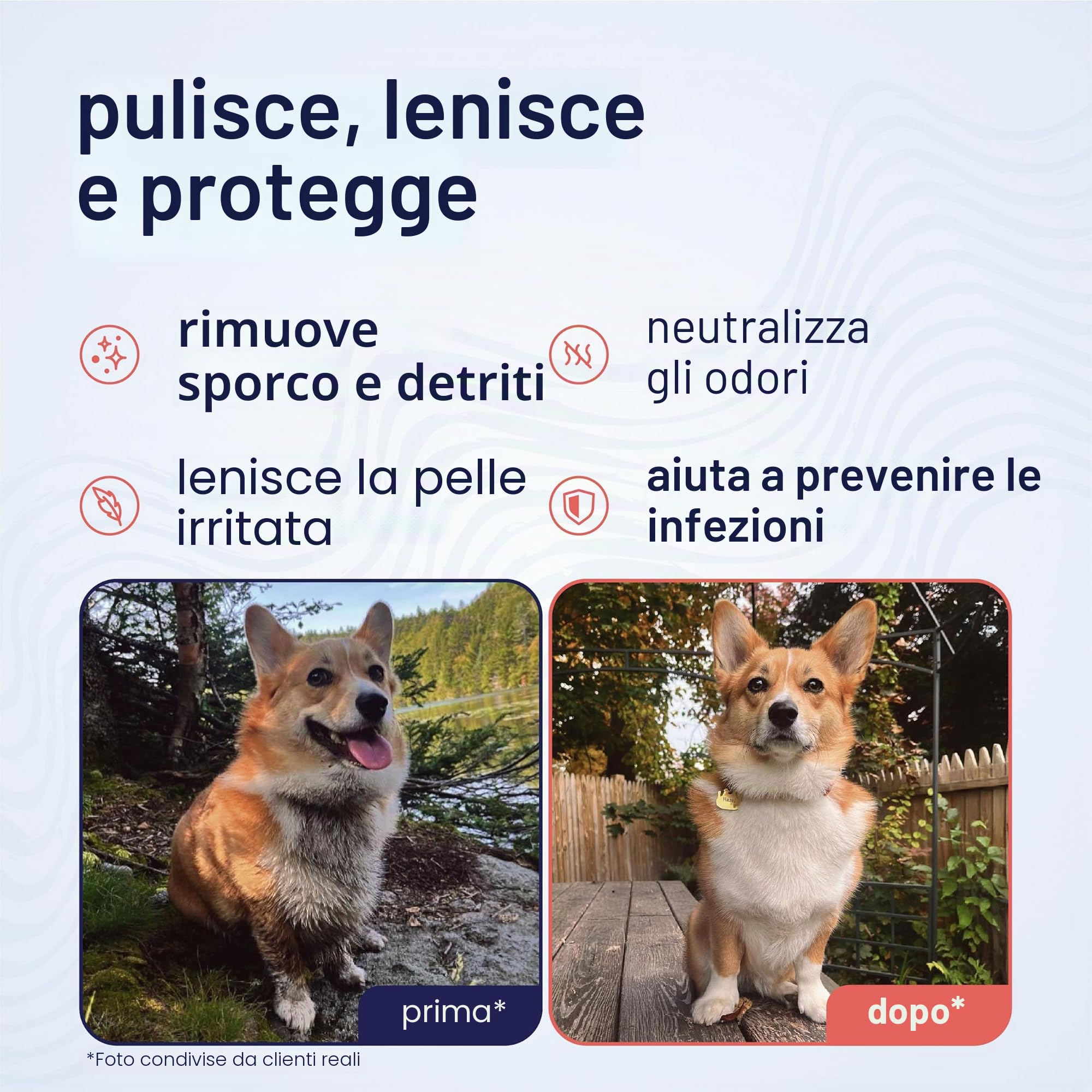 Petpost | Salviette per la Pulizia dei Cani - Salviette Grandi e Deodoranti al Profumo di Fiori di Ciliegio - 70 Tamponi in Cotone Ultra Morbido con Soluzione Detergente (Fiori di Ciliegio)