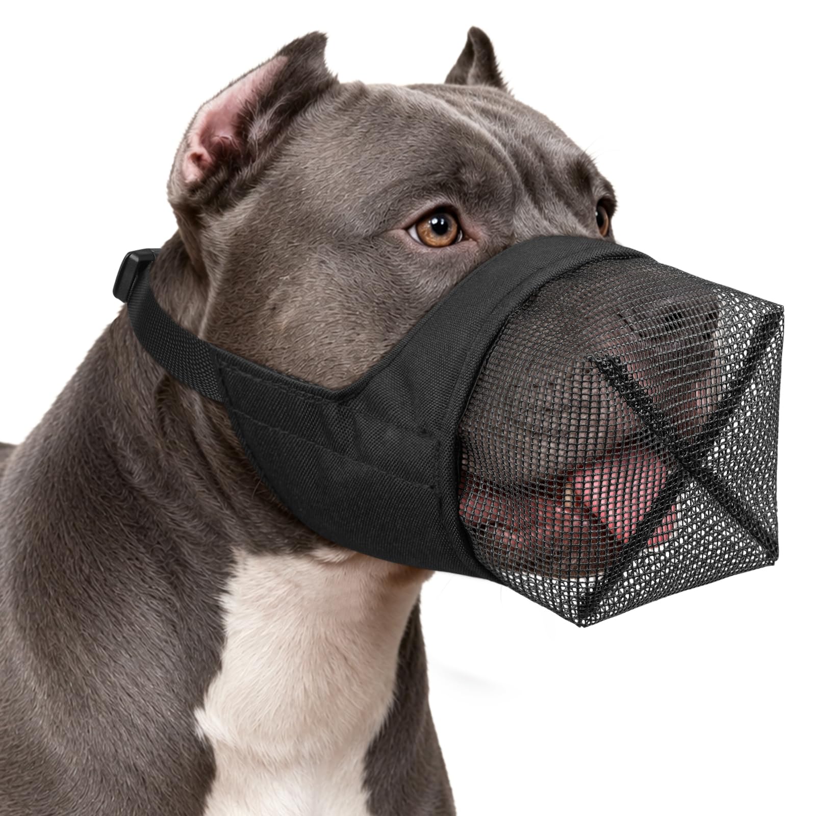 Mayerzon Full Covered Muzzle for Pitbull Bully Rottweiler Medium Large Dogs