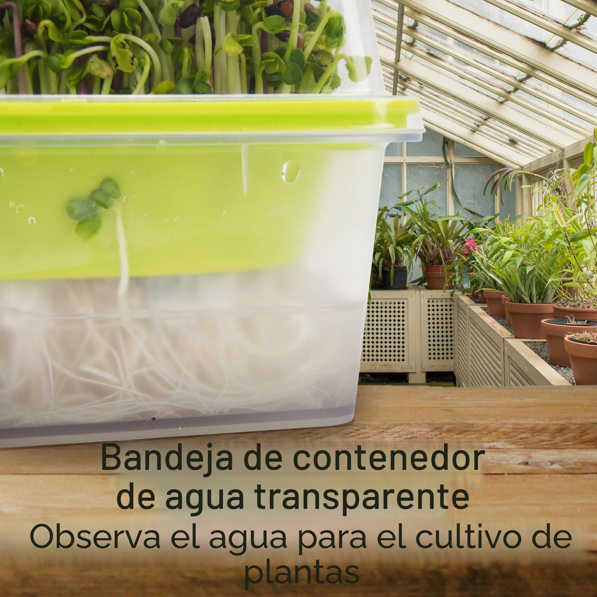 Bandejas para Microvegetales con Tapa y Domo de Humedad, LUVCSOY, Malla Pequeña 1.2 mm, Sin BPA Micro Semillas como Brócoli, Alfalfa, Rábano, Trébol. Pack de 4.