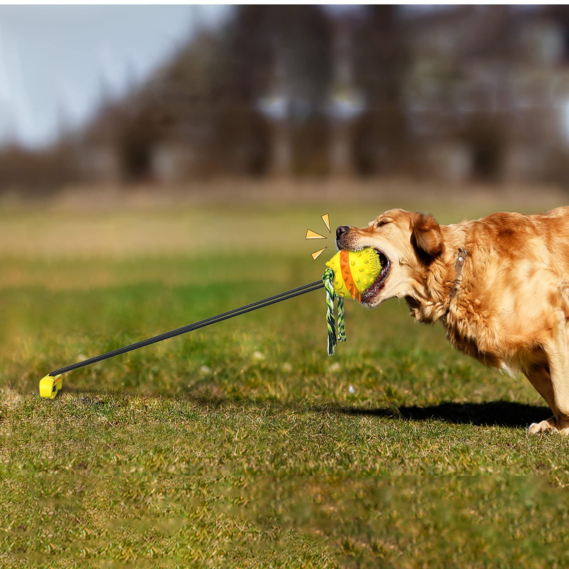 Interaktives Futter Spielzeug Für Hunde Futterautomat Für Hunde PetSafe