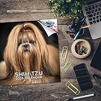 Vista 122 de Razas de Perros 2017