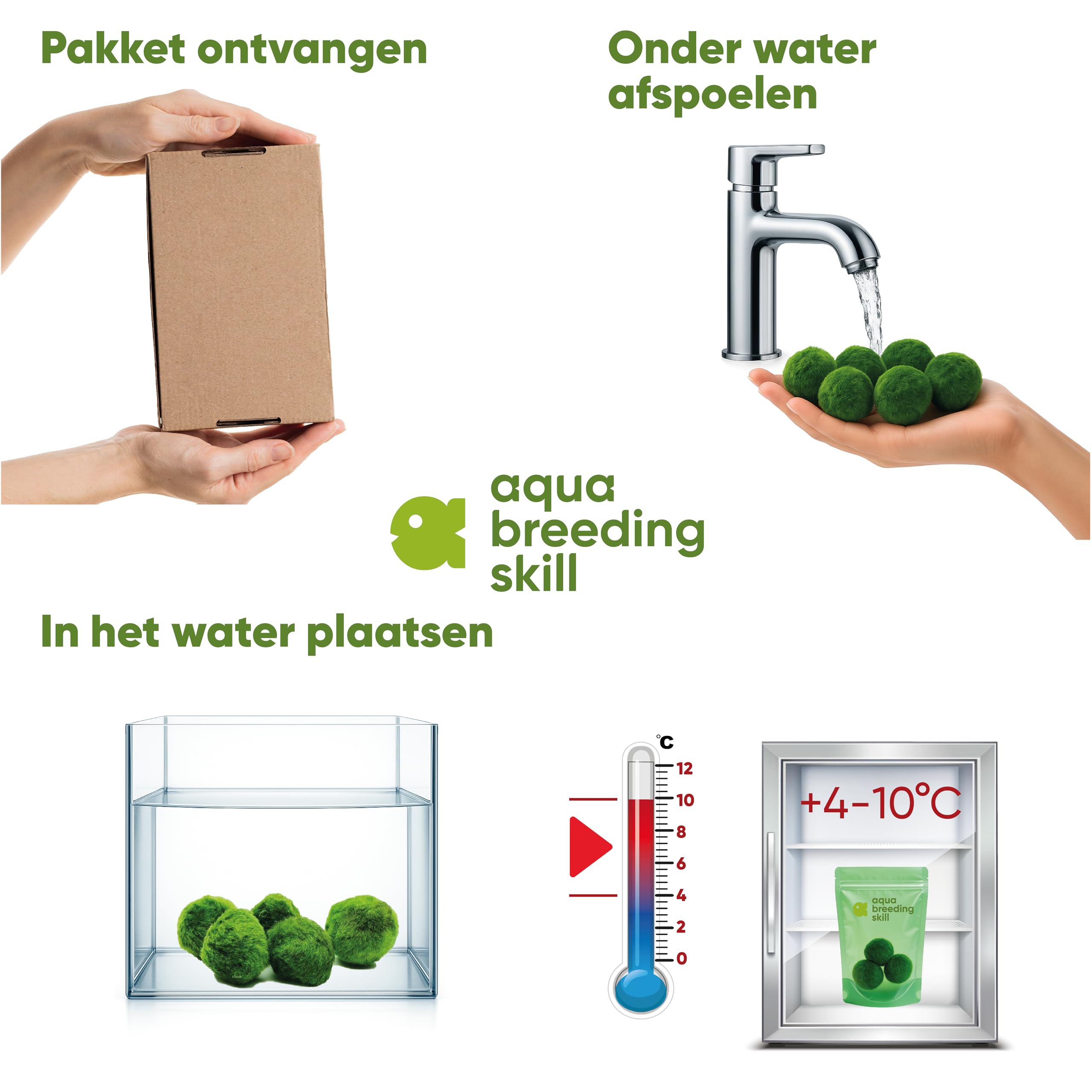 AquaBreedingSkill – Grand Format 4–5 cm – Lot de 3 Marimo Moss Balls – Plante Aquarium Vivante Naturelle | Filtre Biologique | Décoration Écologique | Entretien Facile | Idéal pour Nano Aquarium