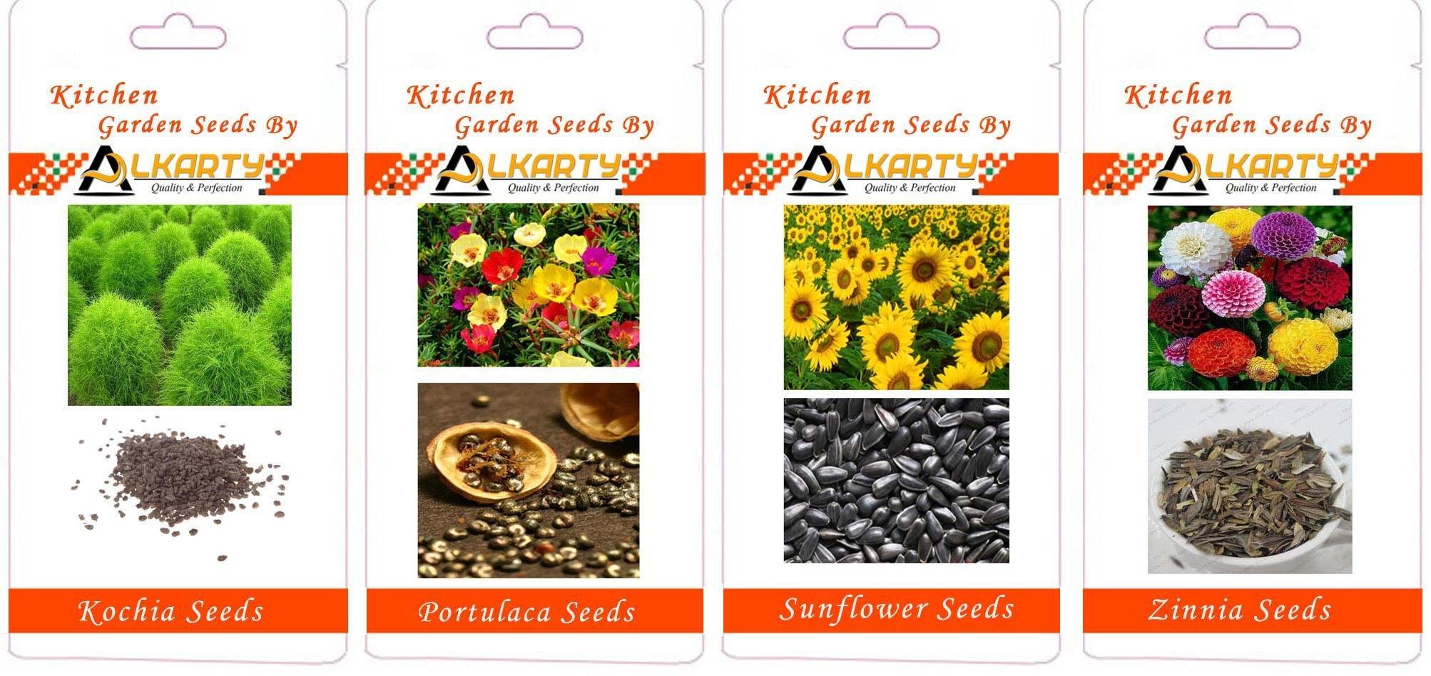 Kochia, Portulaca, Sunflower, Zinnia Summer Flower Seeds Pack of 20 Each-image-42