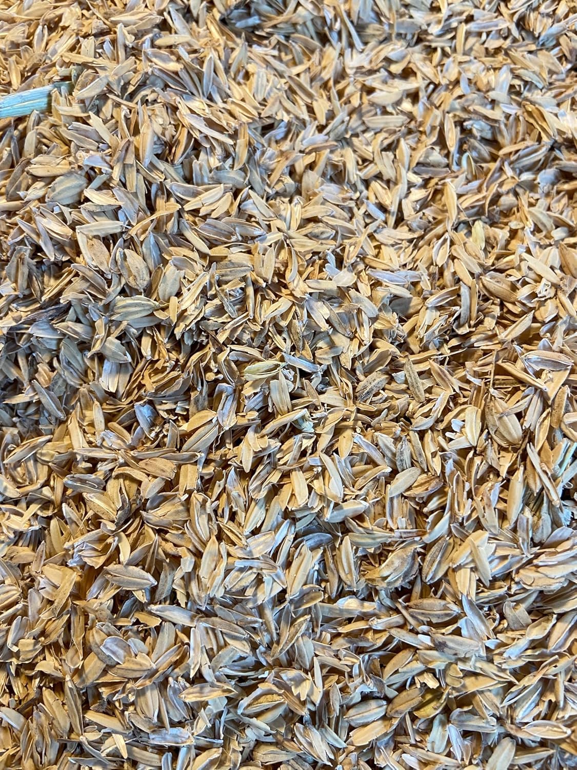 Rice Husks 100% Boccole di riso biologico, 10 l, fonte di silicio organico, materiale strutturale per il suolo e l'amendment in Living Soil