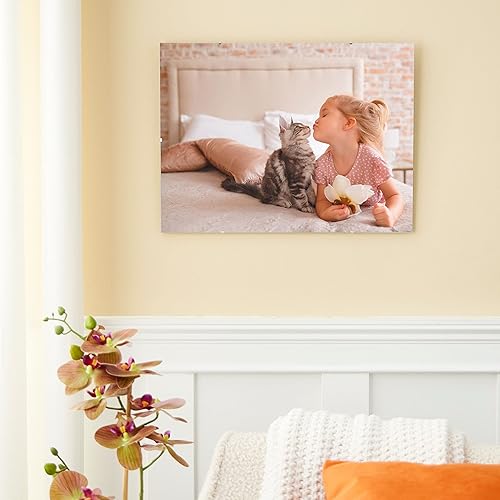 Marco de clip Basics de Studio Décor®