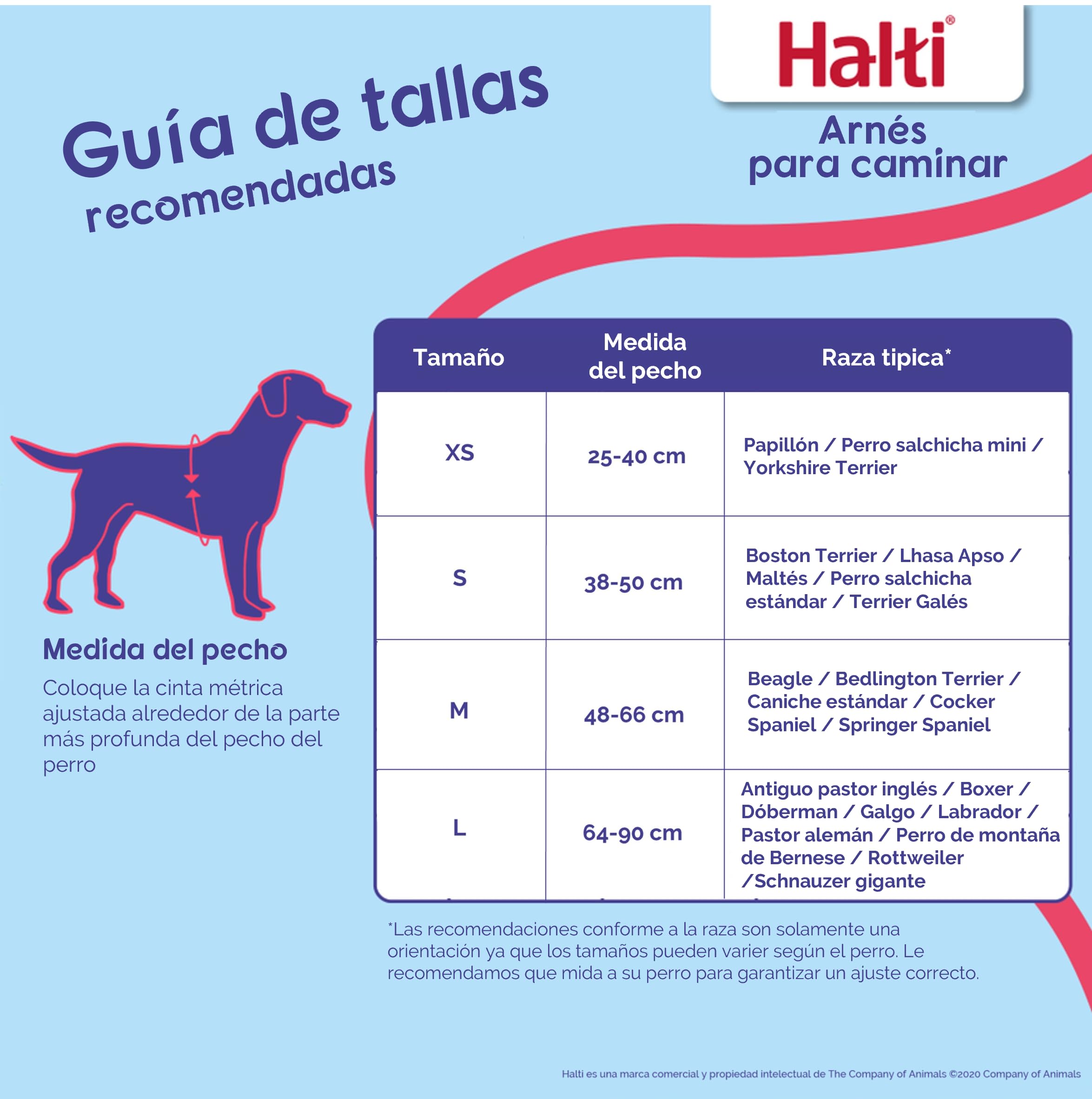 Arnés para caminar HALTI - Arnés Anti tirones Ligero para Perros con Asa, Reflectante y Ajustable, ideal para Adiestramiento Canino. Apto para Perros Grandes (Talla L, Morado)