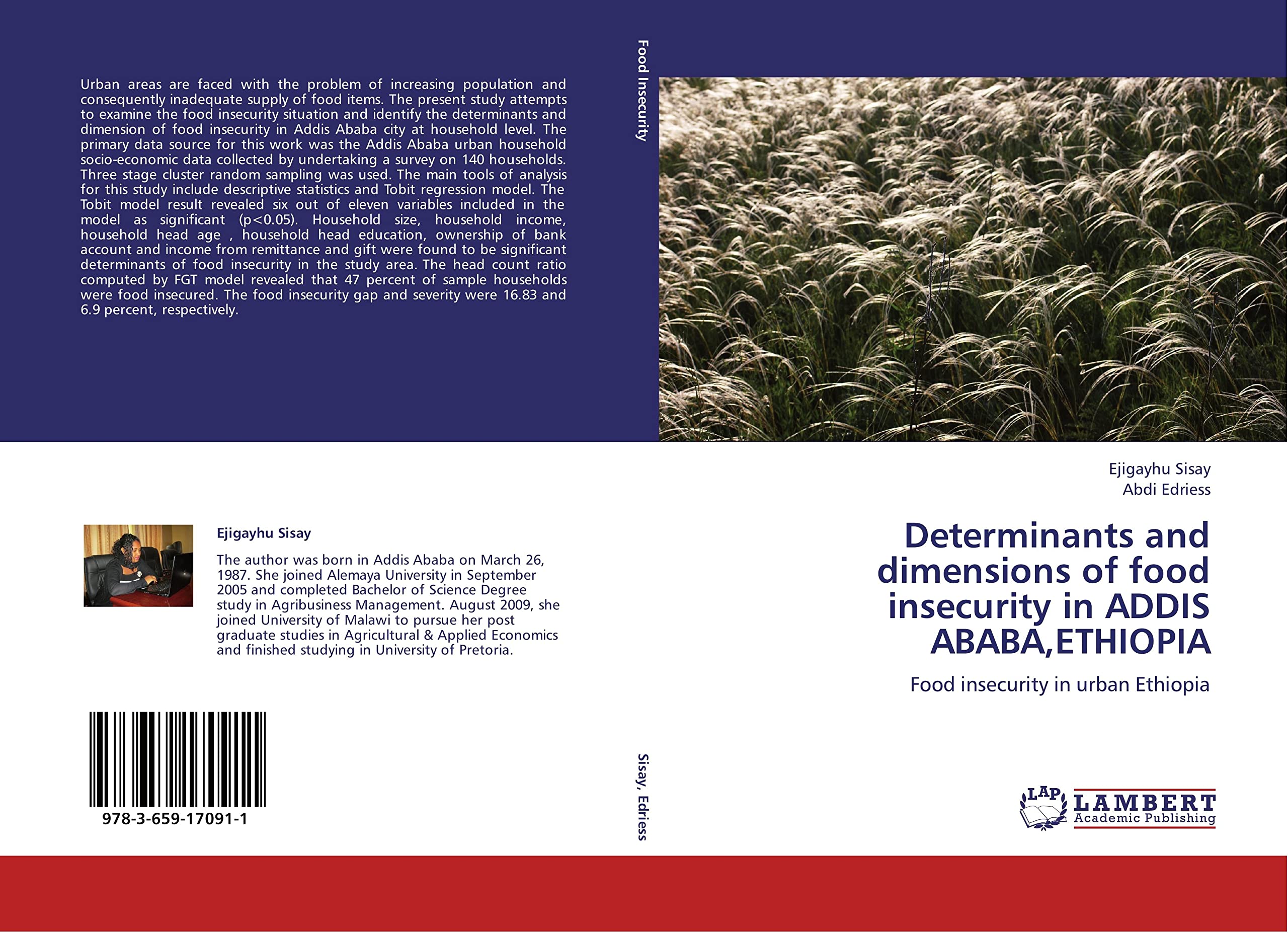Buy Determinants and dimensions of food insecurity in ADDIS ABABA ...