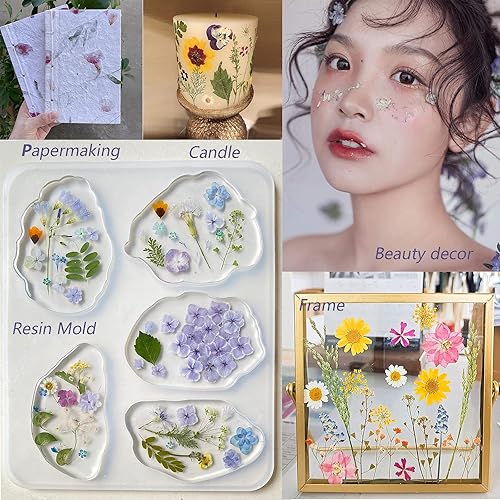 Miniatura 4 de 100 piezas de hojas verdes prensadas secas reales, herbario de plantas naturales para bricolaje, moldes de resina, fabricación de joyas y