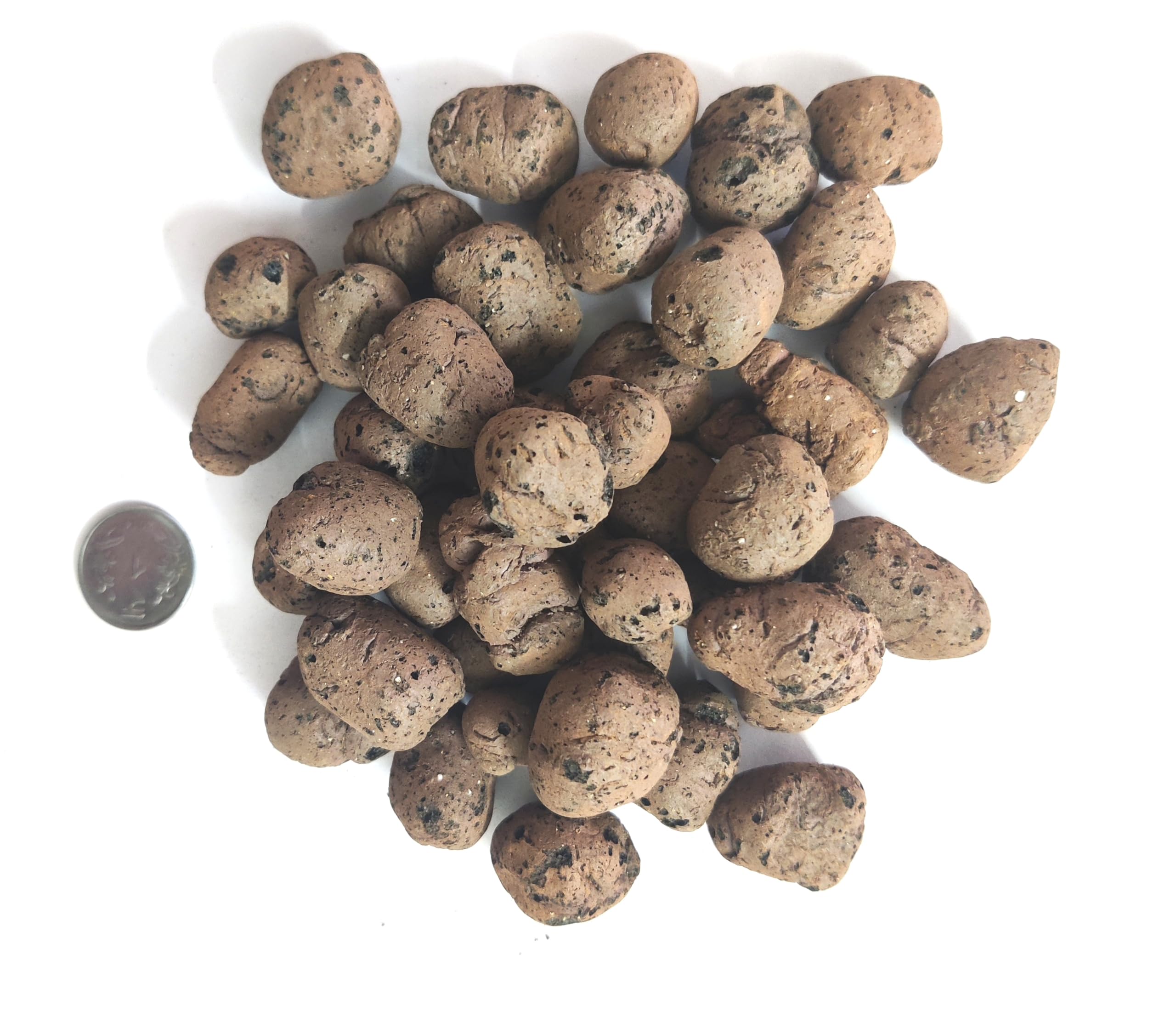 WE Hydroponics Expanded Clayballs, Hydrotons, Clay Pebbles, Natural Clay Balls for Gardening, Hydroponics, Mulching, Sun and Rain Protection for Planting pots - Floating (15mm - 22mm, 4 Liters)-image-28