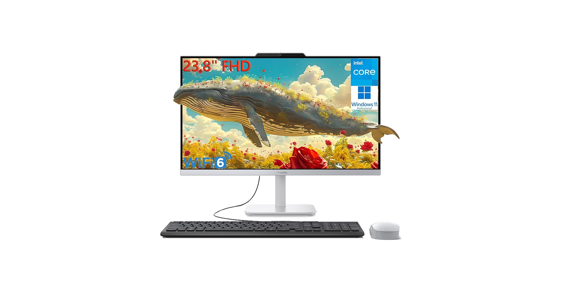 81VqRNNO4iL.jpg_BO30,255,255,