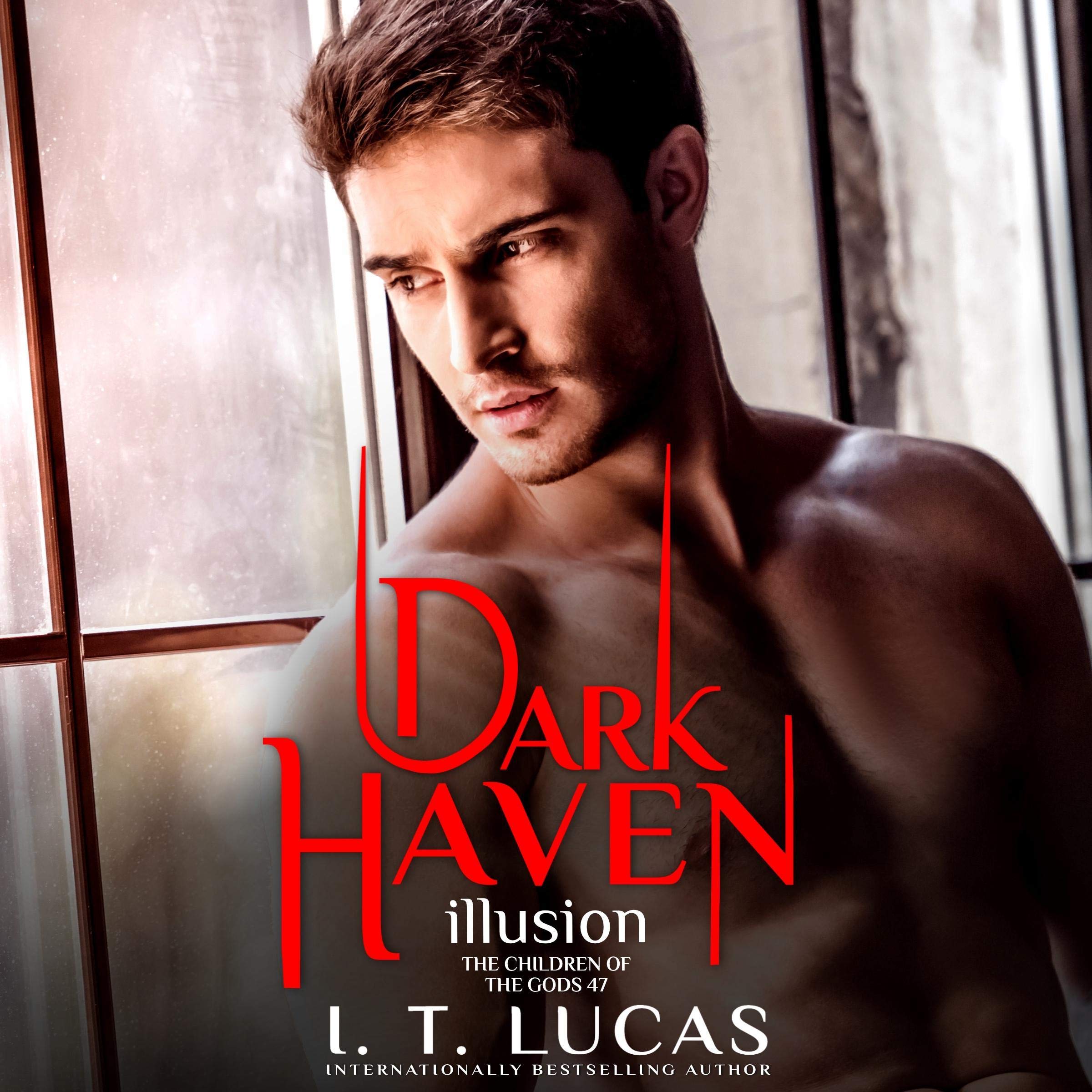 Cover art for Dark Haven Illusion