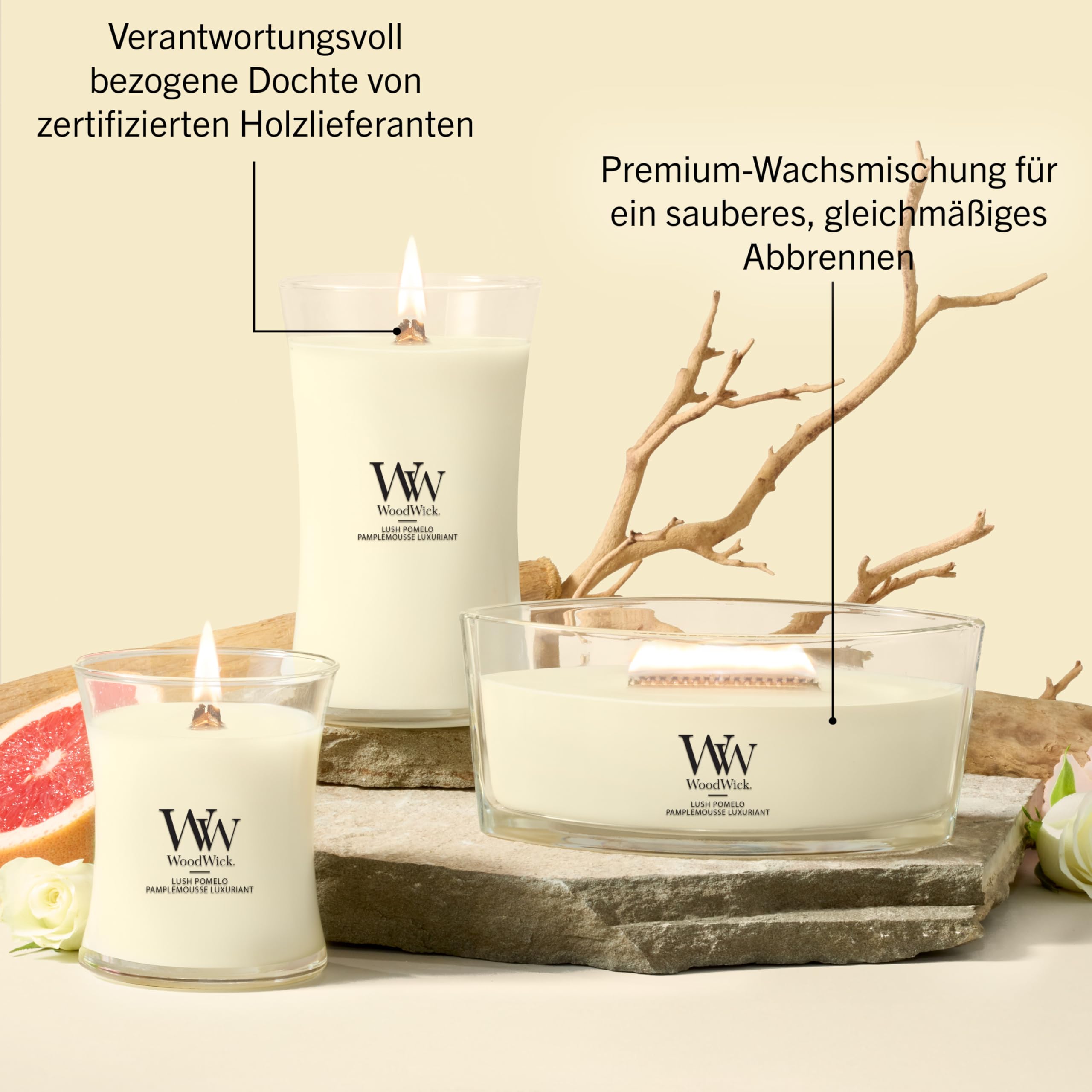 WoodWick | Mittlere Kerze | Saftige Pomelo | Tolles Geschenk für Frauen