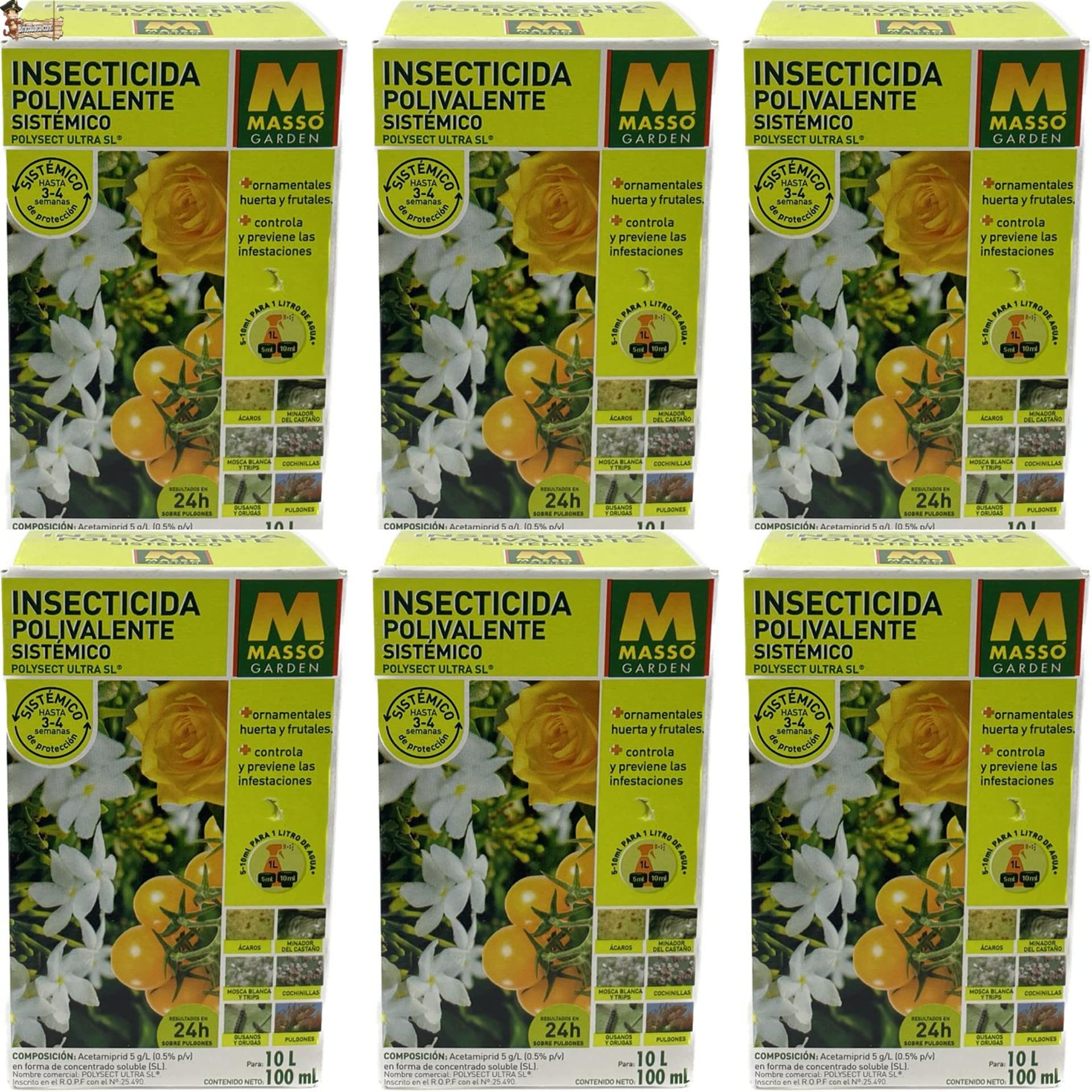 BricoLoco.com Insecticida sistémico Plantas Exterior. Acetamiprid 5g/l. ¡6x100 ml.! Polivalente contra pulgón, cochinilla, Mosca Blanca, Trips, ácaros. Efectos visibles en pulgones en 24 Horas. (6)
