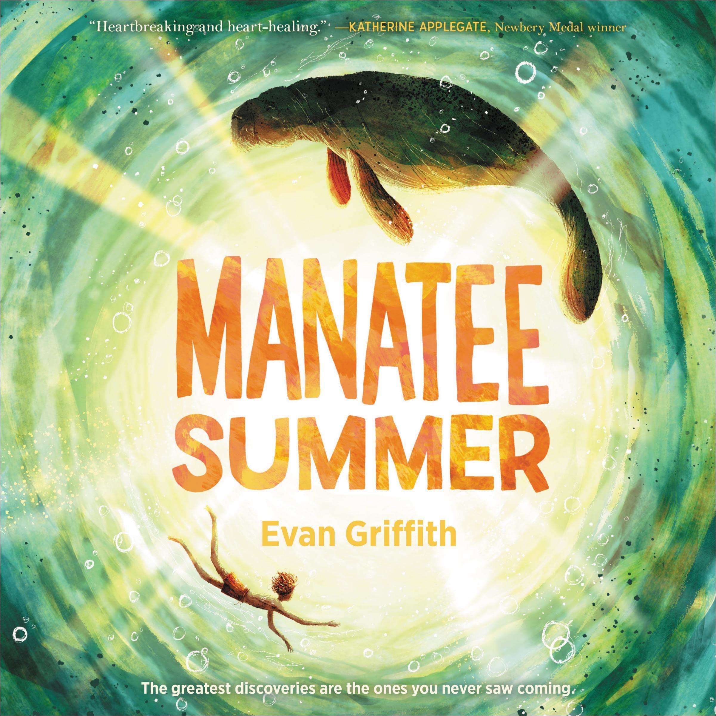 Cover art for Manatee Summer