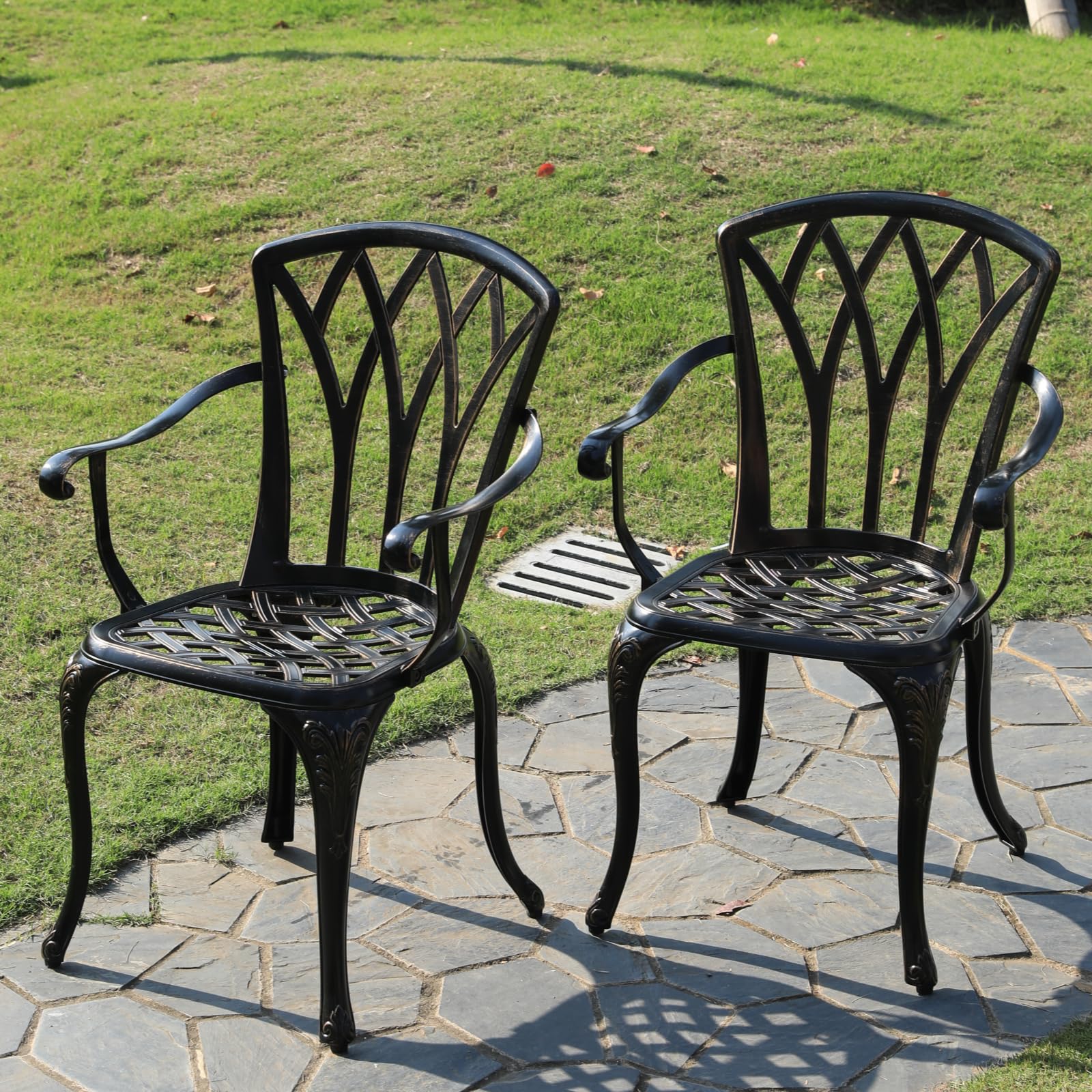 TangXiaoQi Cast Aluminum Garden Chairs, Set of 2, Rose Design, Antique Style (Chairs in Antique Bronze)