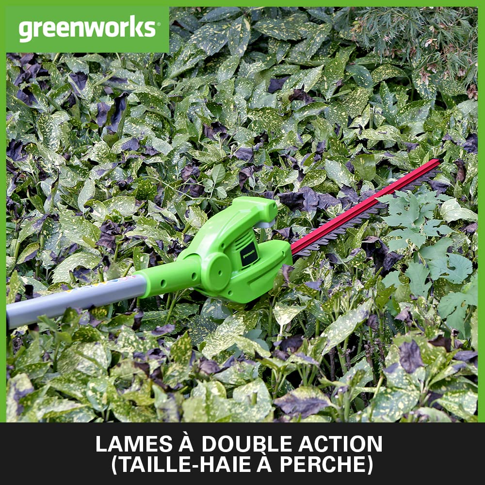 Greenworks G24PSHK2 Élagueuse et 51 cm Taille Haie à Batterie sur Perche 2 en 1 avec Bandoulière, Tronçonneuse 20 cm, Lames Double Action, Batterie 24V 2Ah et Chargeur, Garantie 3 Ans