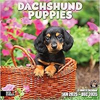 Vista 25 de RED EMBER Calendario de pared 2025 con diseño de cachorros de 12 meses, 12 x 24 pulgadas, abierto, papel grueso y resistente, para regalo