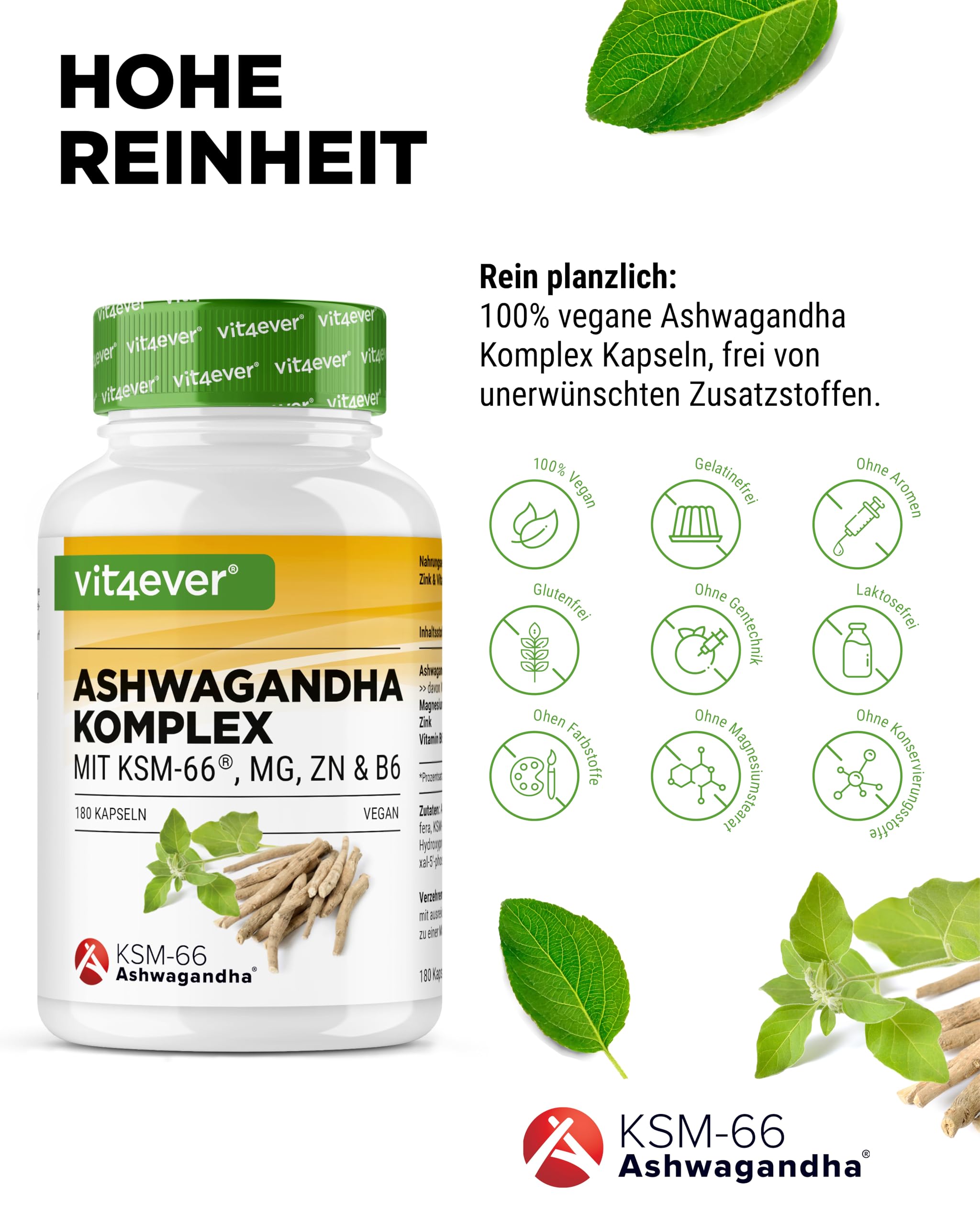 vit4ever Ashwagandha KSM-66® Komplex - 180 Kapseln - 600 mg | Mit Magnesium, Zink & Vitamin B6, ohne Zusätze, hochdosiert, vegan