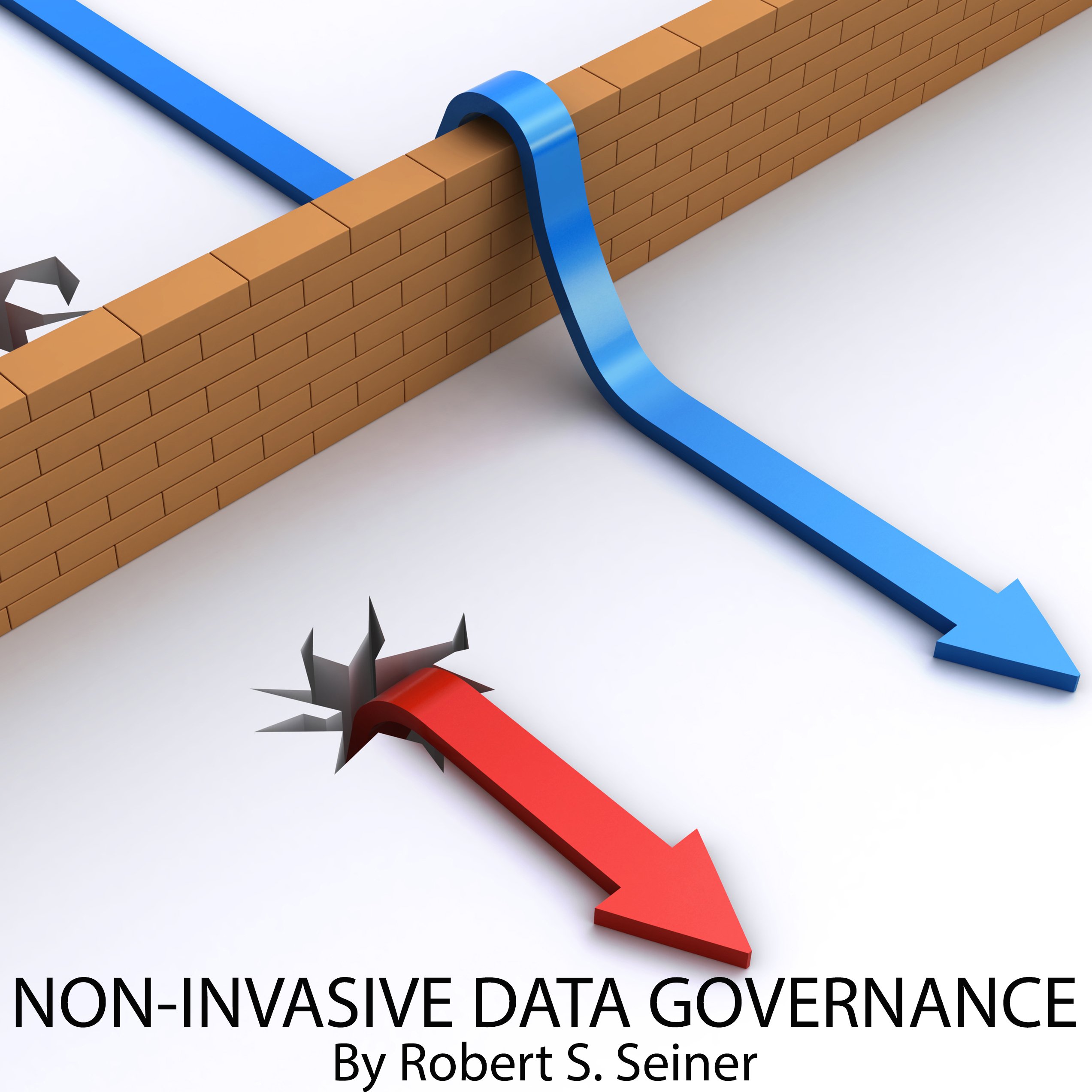 Cover art for Non-Invasive Data Governance