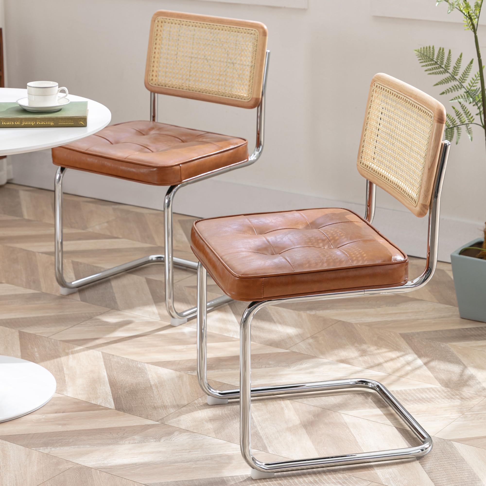 Zesthouse Rattan Dining Chairs Set of 2, Cantilever Kitchen Chairs, Brown — image 1
