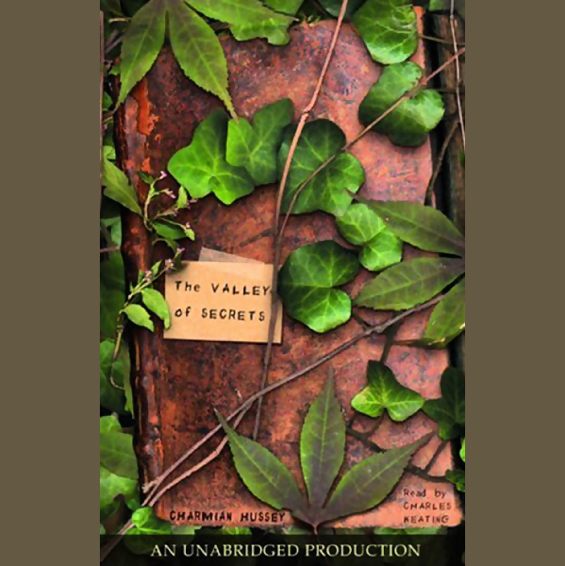 Cover art for The Valley of Secrets