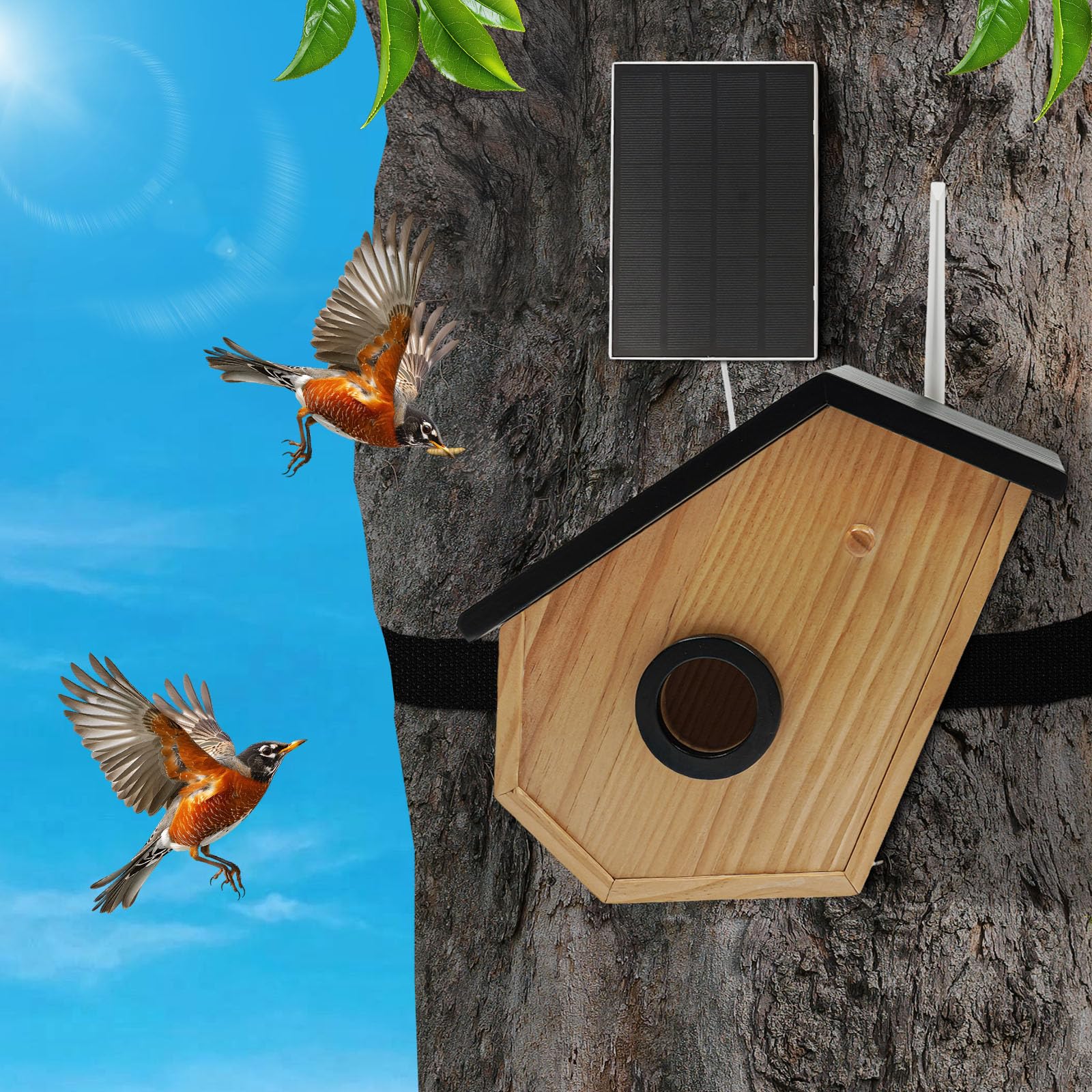 Kiefernholz Vogelhaus mit Kamera,Solarbetrieb,Bird Feeder Camera,KI-Vogelerkennung,Nachtsicht (Farbe/Infrarot),HD-Überwachung,für Volieren,Bauernhöfe,Gärten, Balkone