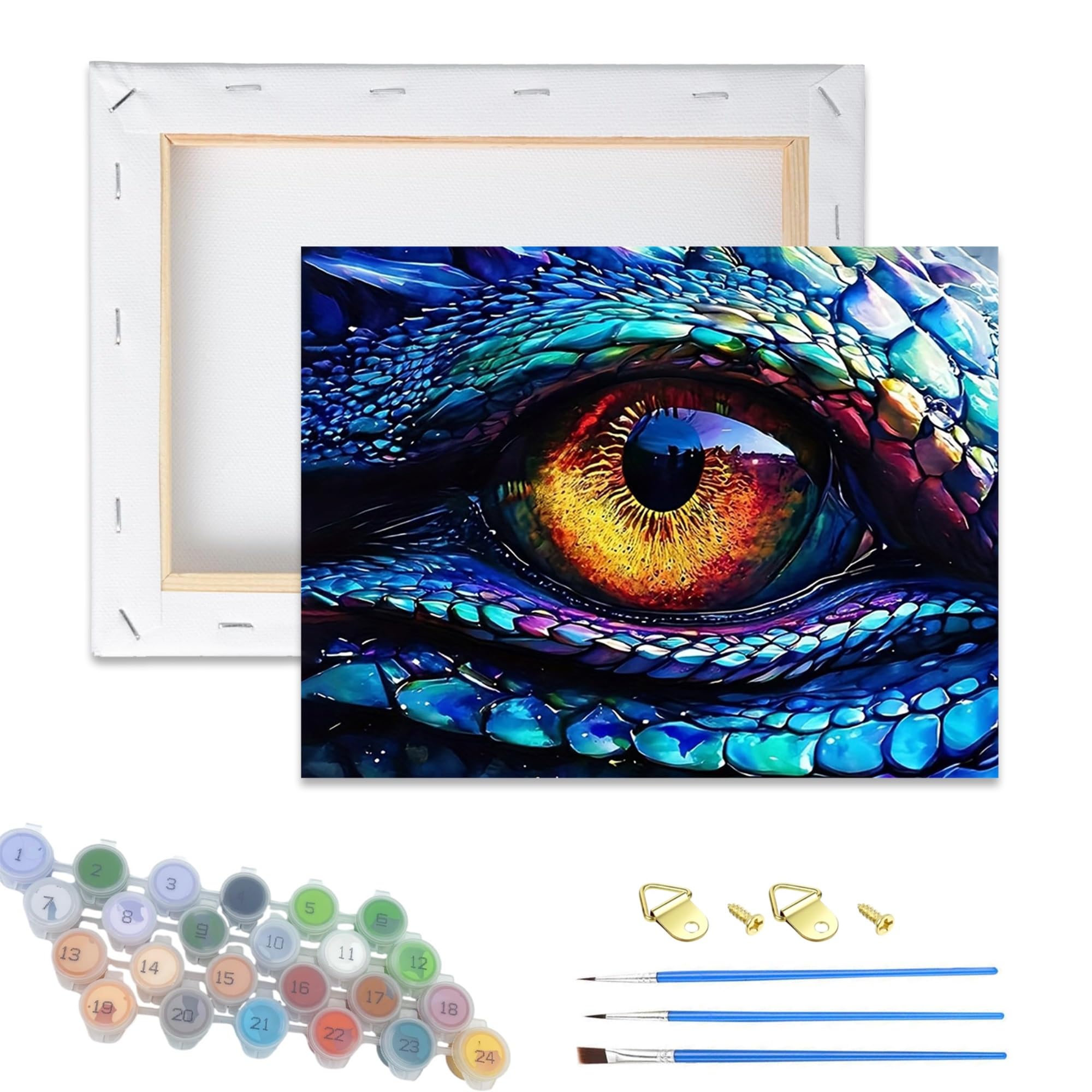 Jiqinsiye Eye Adults Paint By Number Kits,Framed Painting By Numbers Kits On Canvas,Color By Numbers Adult Watercolor Gifts For Friends Wall Decor (Eye)