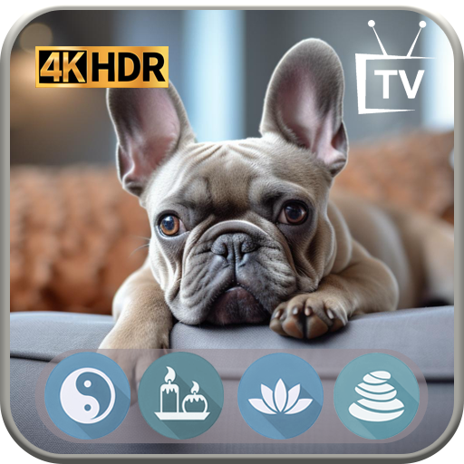 entspannung für hunde - beruhigende klänge zur angstlinderung auf tv & tabletten