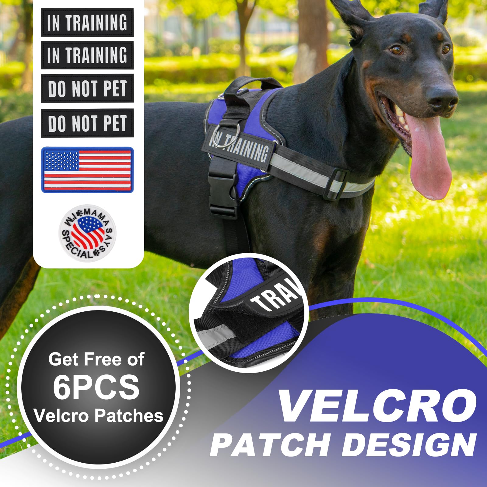 Condition photo showing New/Like New for Essential Dog Harness with 3 Leash Clips - No-Pull, Adjustable, Comfortable Pet Vest Harness for Small to Large Dogs - Easy On, No Choke, Reflective, Padded Harness for Walking and Training