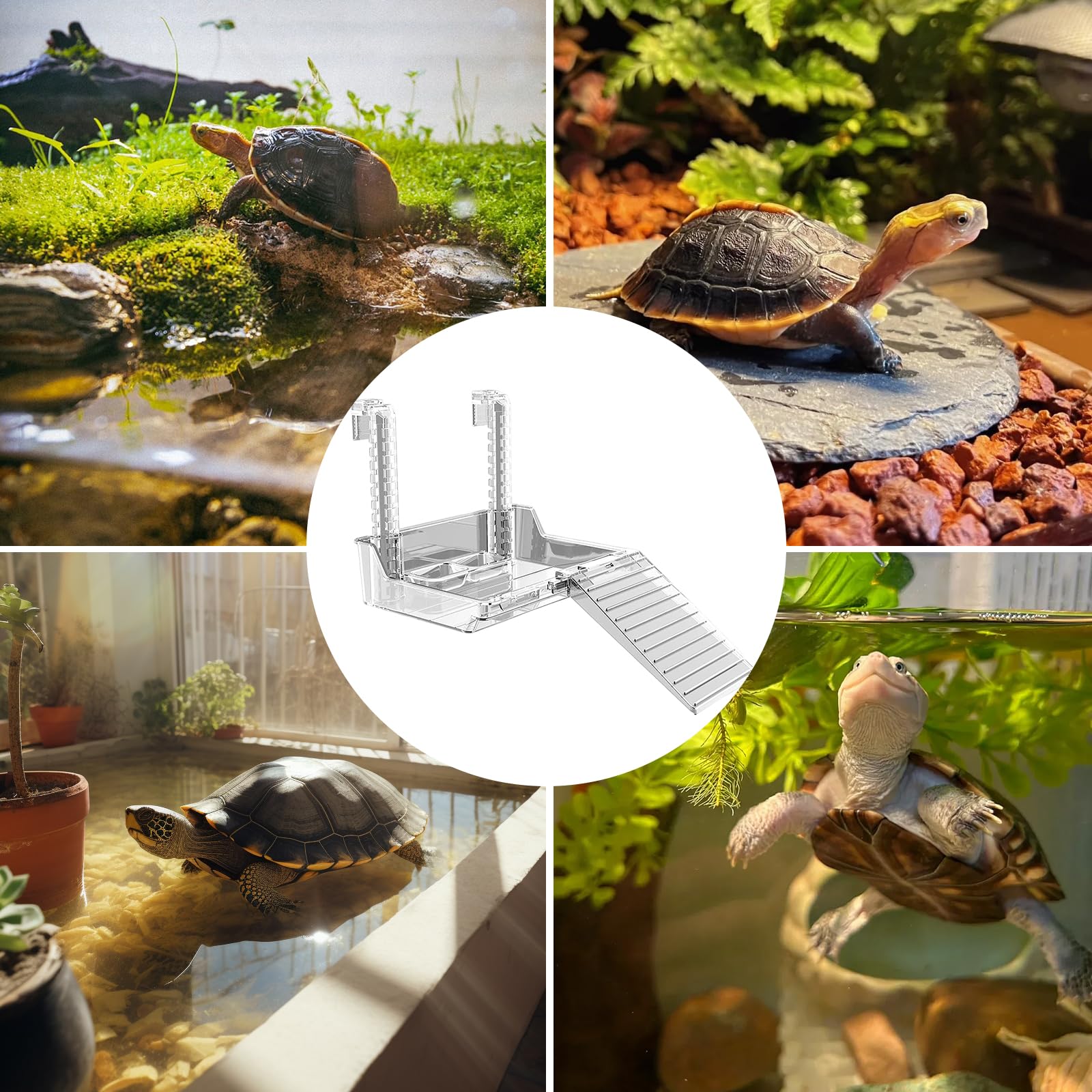 Plateforme Suspendue pour Tortues - Plateforme Tortue d'eau - Accessoires pour Aquarium, Adapté Aux Petites Tortues, Petits Reptiles, Animaux Aquatiques, RéGlable (Taille : M)