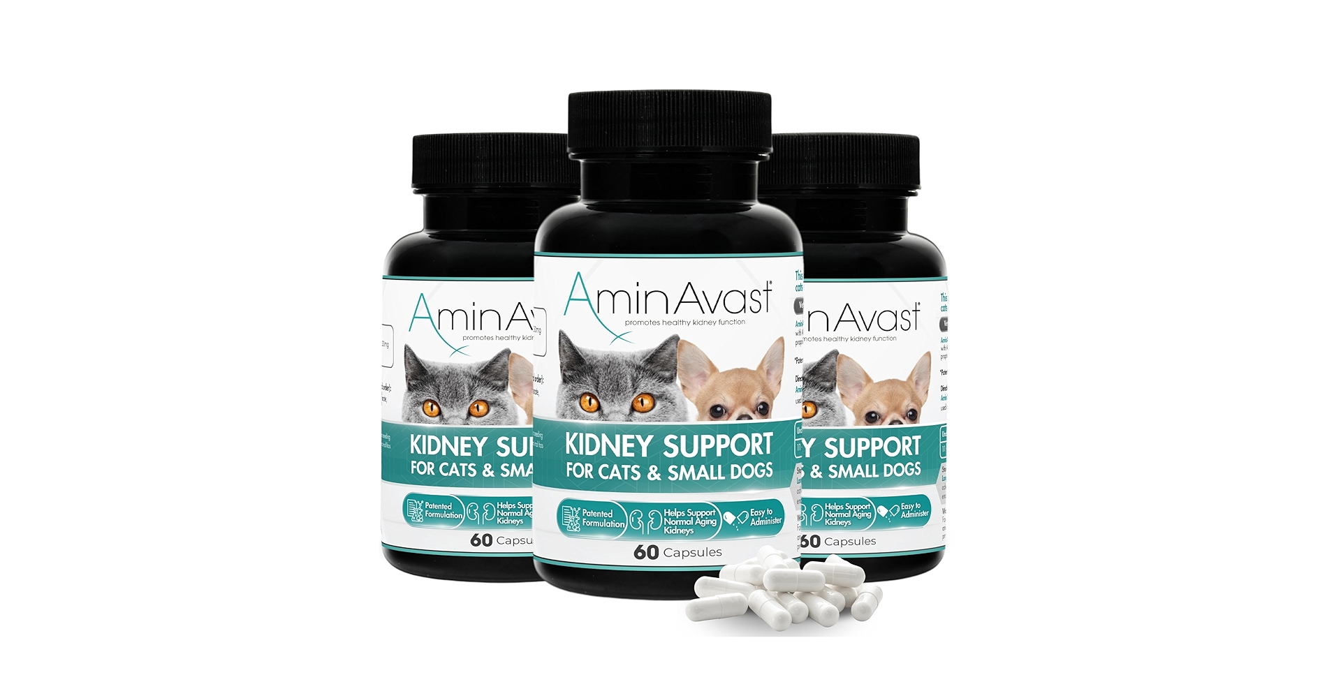 AminAvast 健康サポートサプリメント 60カプセル Amazon.com : AminAvast Kidney Support Supplement for Cats
