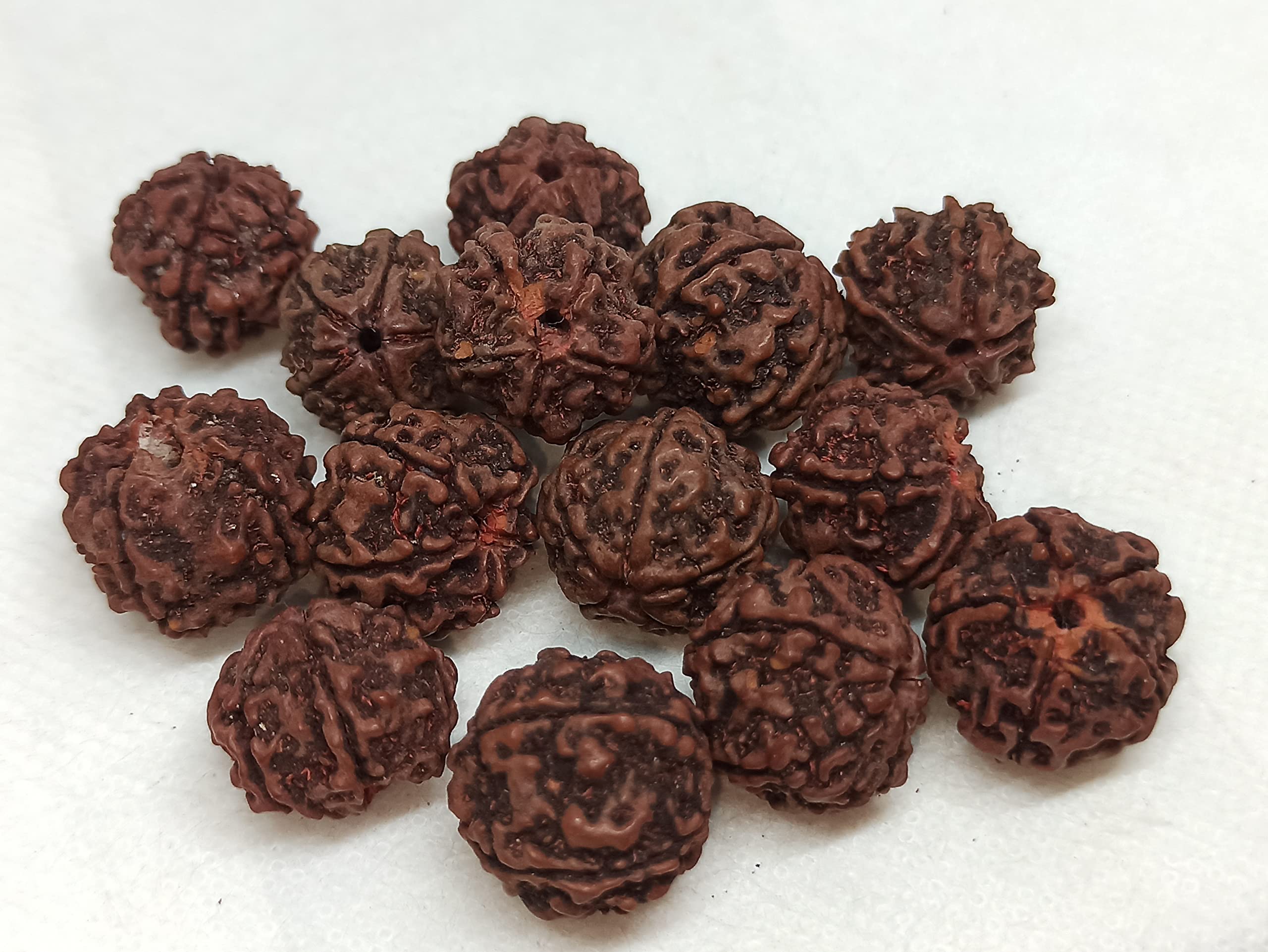 See full amazon price history chart for NATURALIFES-*Holed RUTHIRATCHAM*-Blueberry Beads I ருத்ராட்சம்-(10 PCS) NATURALIFES-*Holed RUTHIRATCHAM*-Blueberry Beads I ருத்ராட்சம்-(10 PCS) (B0BCQHN84C) Amazon Price History, Amazon Price Tracker