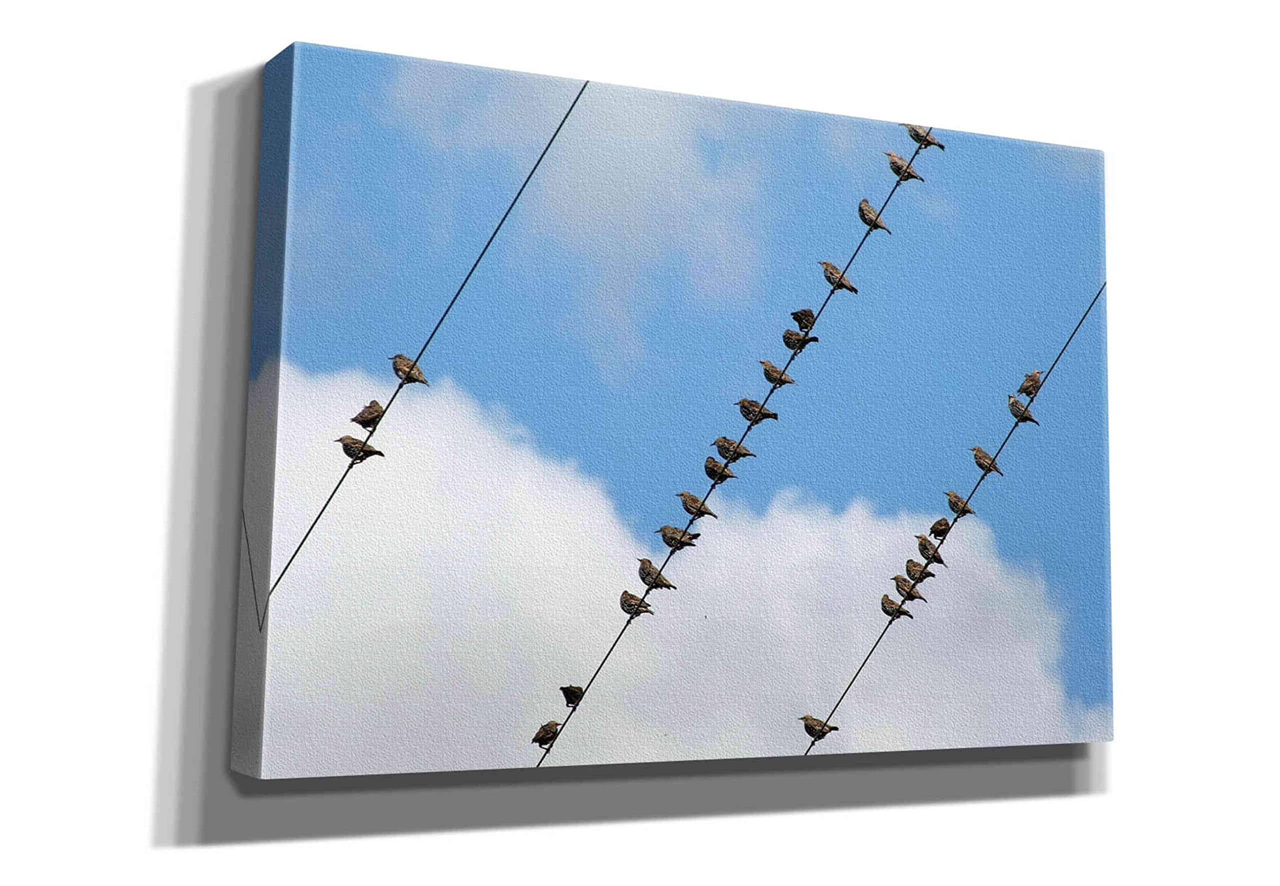 Epic Graffiti 'Humanwatching' by Epic Portfolio, Giclee Canvas Wall Art, 26