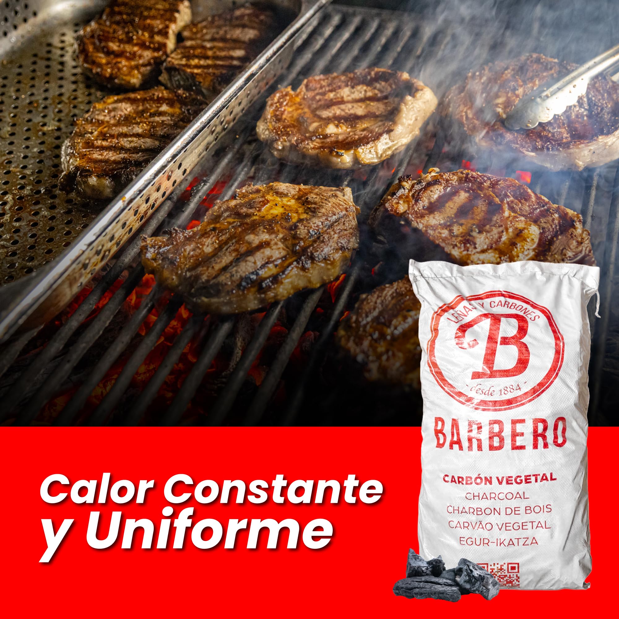 Carbón Vegetal Encina 100 Natural Grueso Saco 20kg Profesional Hostelería Barbacoa Cocina Exterior Brasa Gourmet Alta Temperatura Sin Humo Combustión Lenta Aroma Sabor Carnes (Saco, 1, Unidad)
