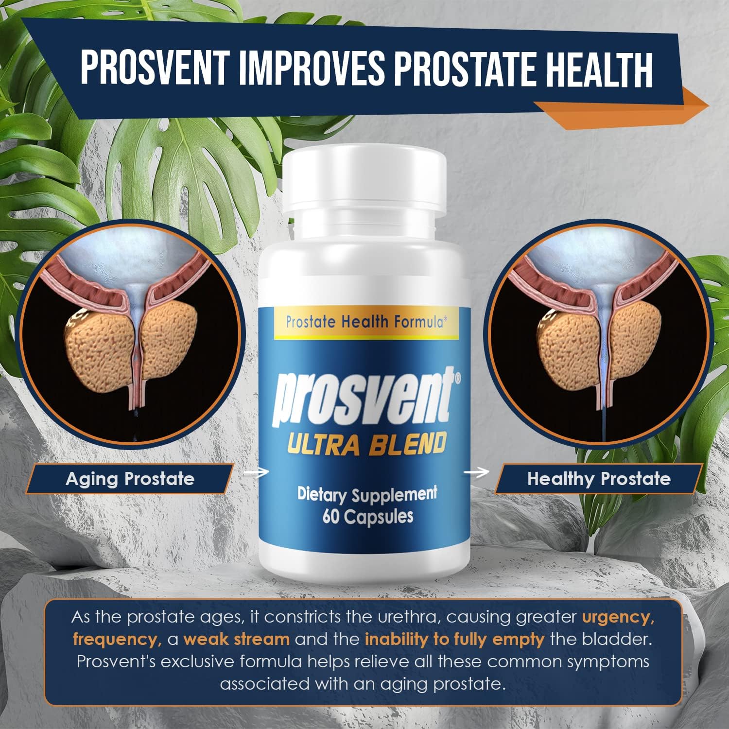Prosvent Advanced Prostate Support Ultra Natural Nepal Ubuy