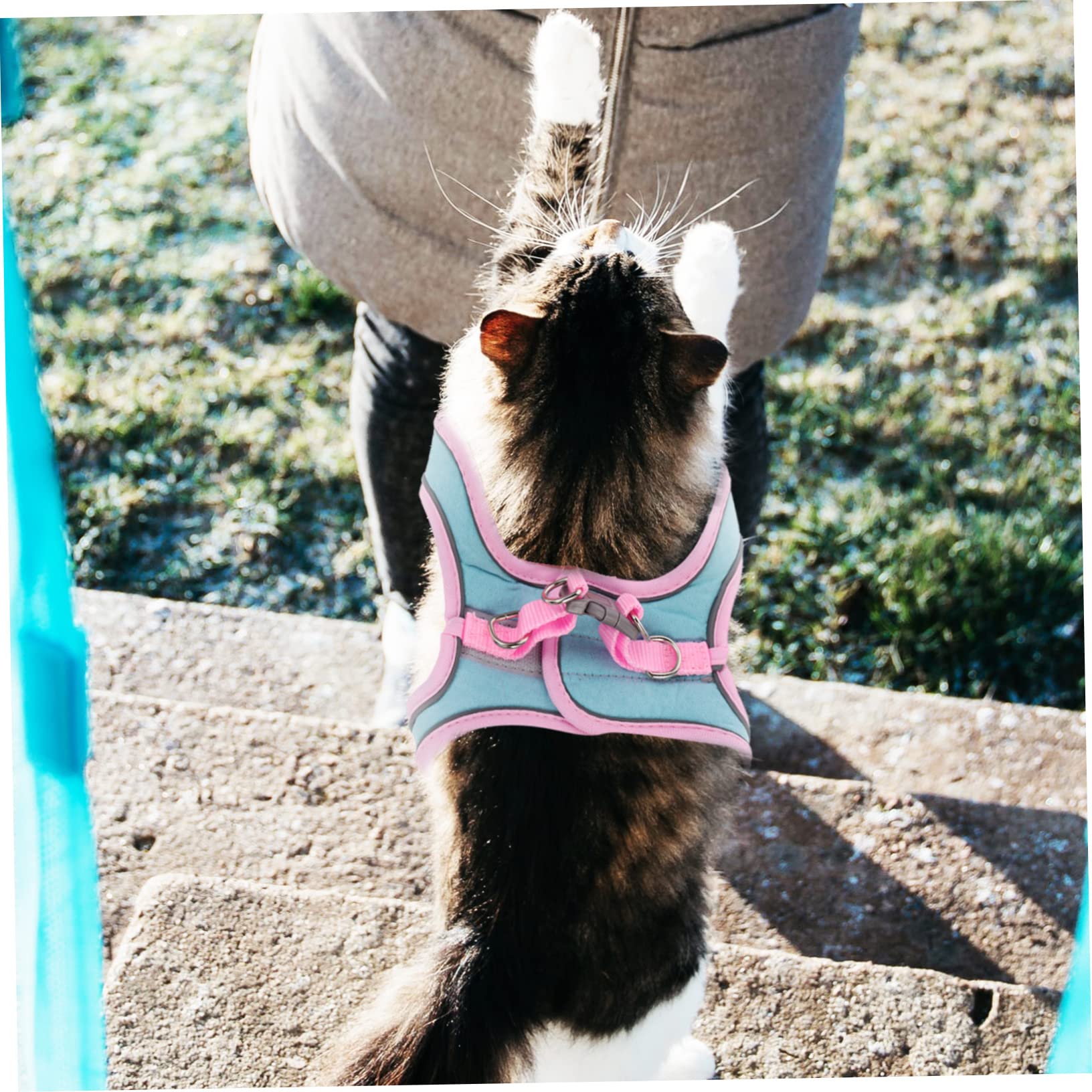 SUPVOX Cat Harness and Leash 2 Pack Pet Vest Type Harness Long Leash Reflective Strips for Night