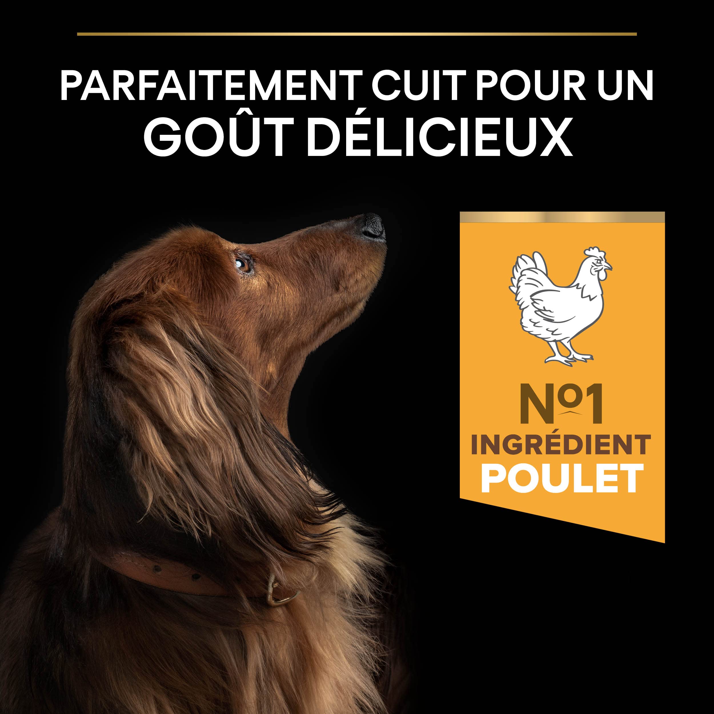 PURINA PRO PLAN | Light/Stérilisé| Chien Adulte de petite taille et mini | Croquettes Riches en Protéines| Au Poulet| Favorise la gestion du Poids | Sac | 7 KG