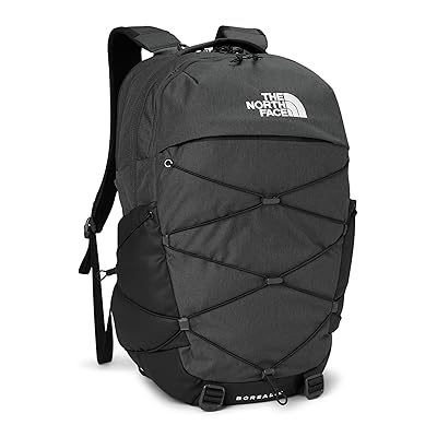 The North Face Borealis Day Pack Bags Asphalt Grey Light Heather/TNF Black NPF, Mesh