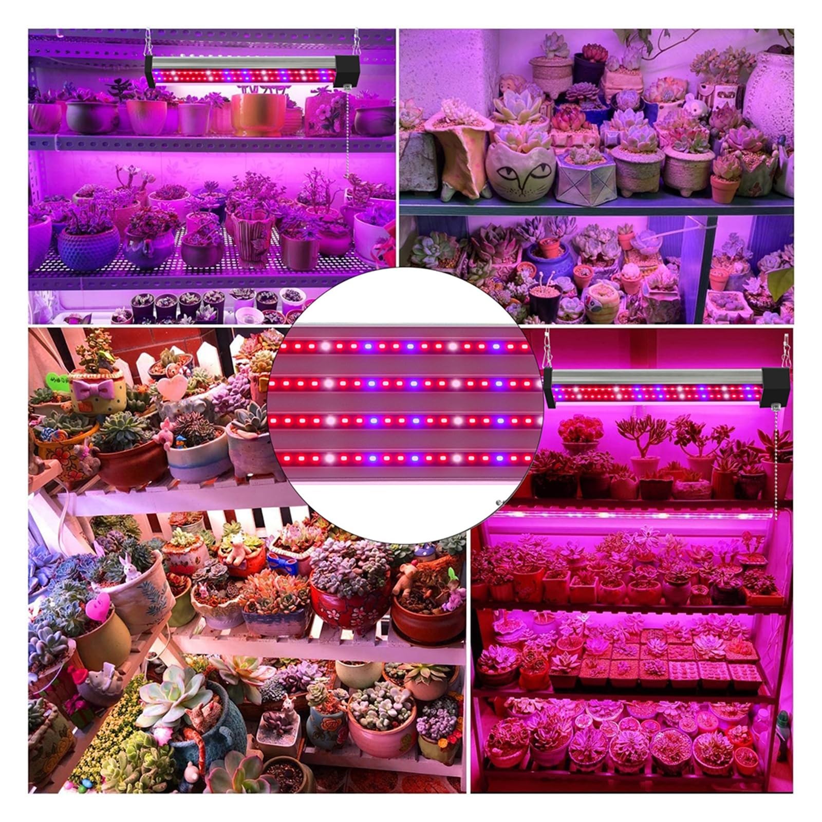 Lámpara de Planta, Luz LED conectable for cultivo de plantas, lámpara de cultivo hidropónico de espectro completo con interruptor de cadena de tracción, Panel Fitolámpara de flores vegetales for inter