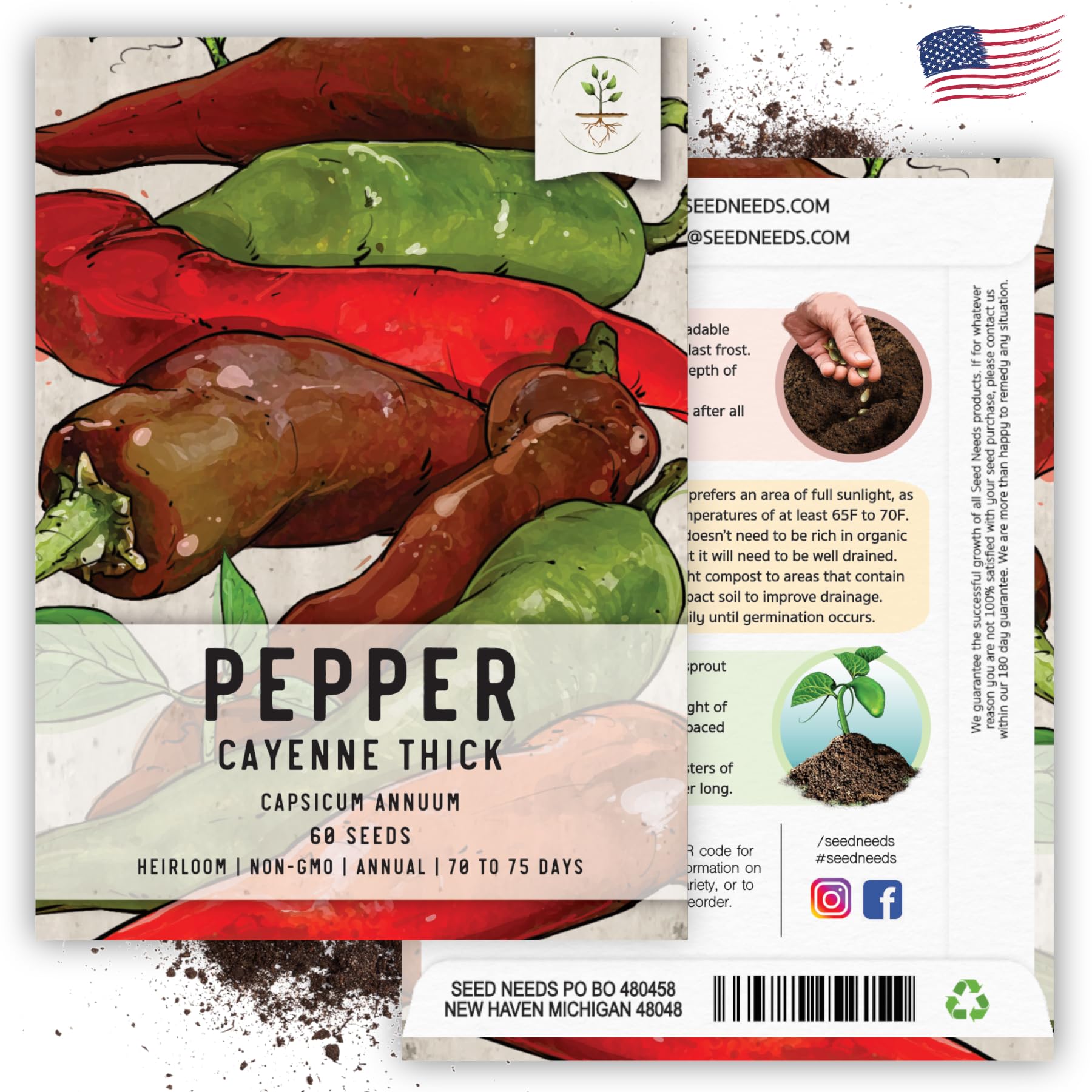 100 Seeds, Thick Cayenne Chile Pepper (Capsicum annuum) Non-GMO 3