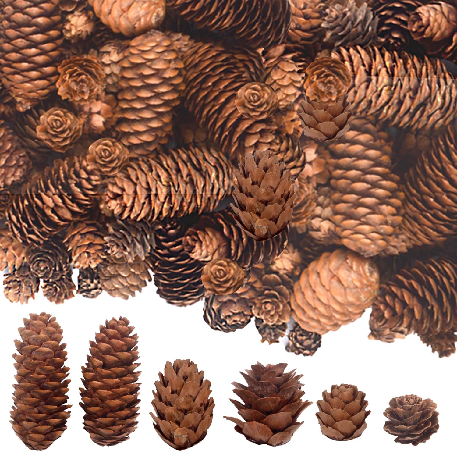 120PCS Natural Pine Cones for Christmas Decor - Mini Pinecones for Crafts, Tree Ornaments, Wreath, Wedding, Vase Fillers, Garland & Holiday Centerpieces (Fall/Winter/Xmas)