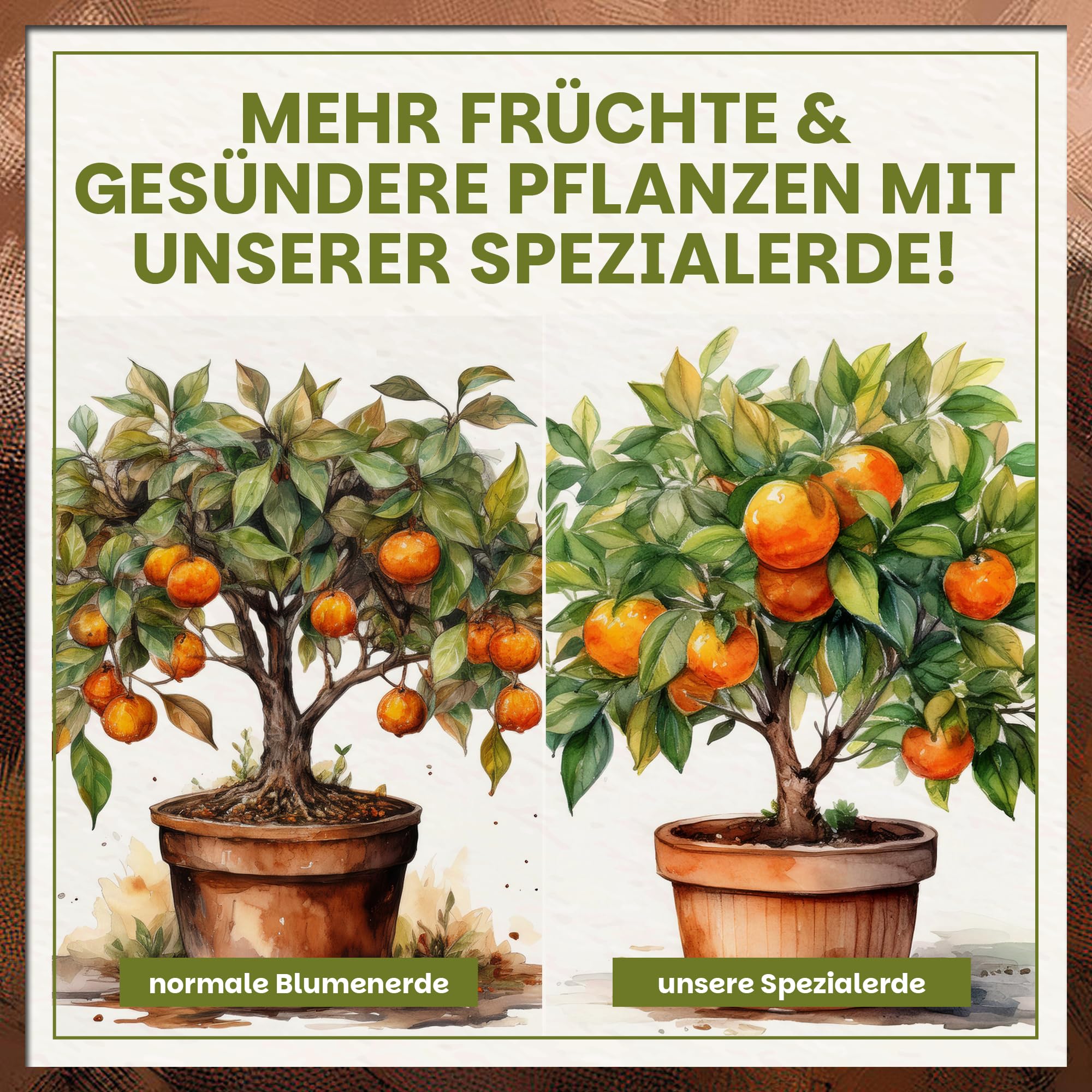 Green Home Zitruserde 72L - Erde für Zitruspflanzen & Mediterrane Pflanzen | Citrus Erde mit Langzeitdünger | Perlite, Kokosfasern & Rindenhumus | Für Garten, Kübel & Hochbeet, pH 5,8