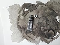 Vista 347 de Winsor & Newton - Pintura para acuarela profesional