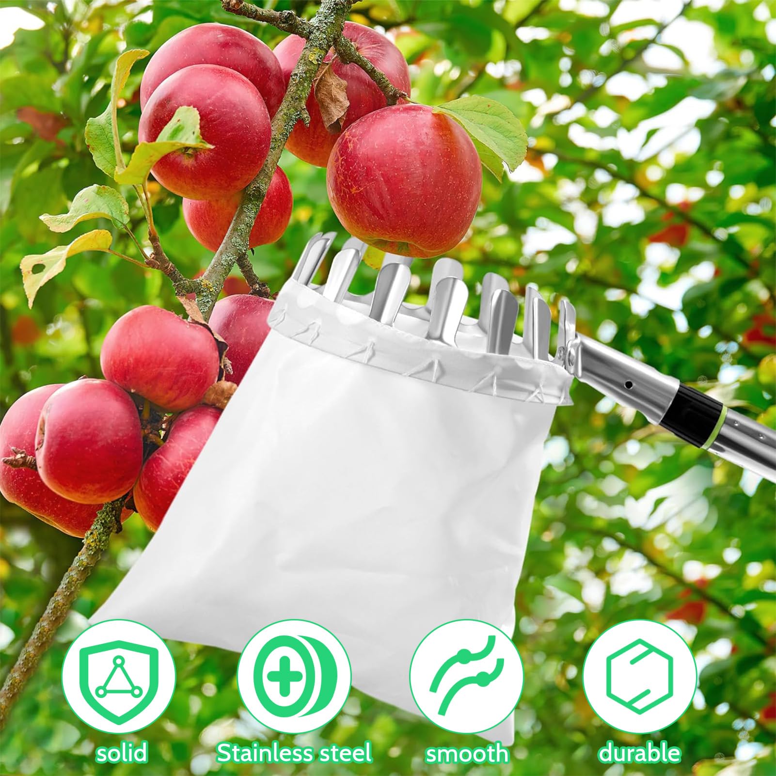 Raccogli Frutta con palo in Acciaio Inox Leggero,2m Raccoglitore di Frutta,raccogli Ciliegie telescopico,raccogli Frutta telescopico,attrezzo raccogli per Raccolta Mele-agrumi-pere-pesche
