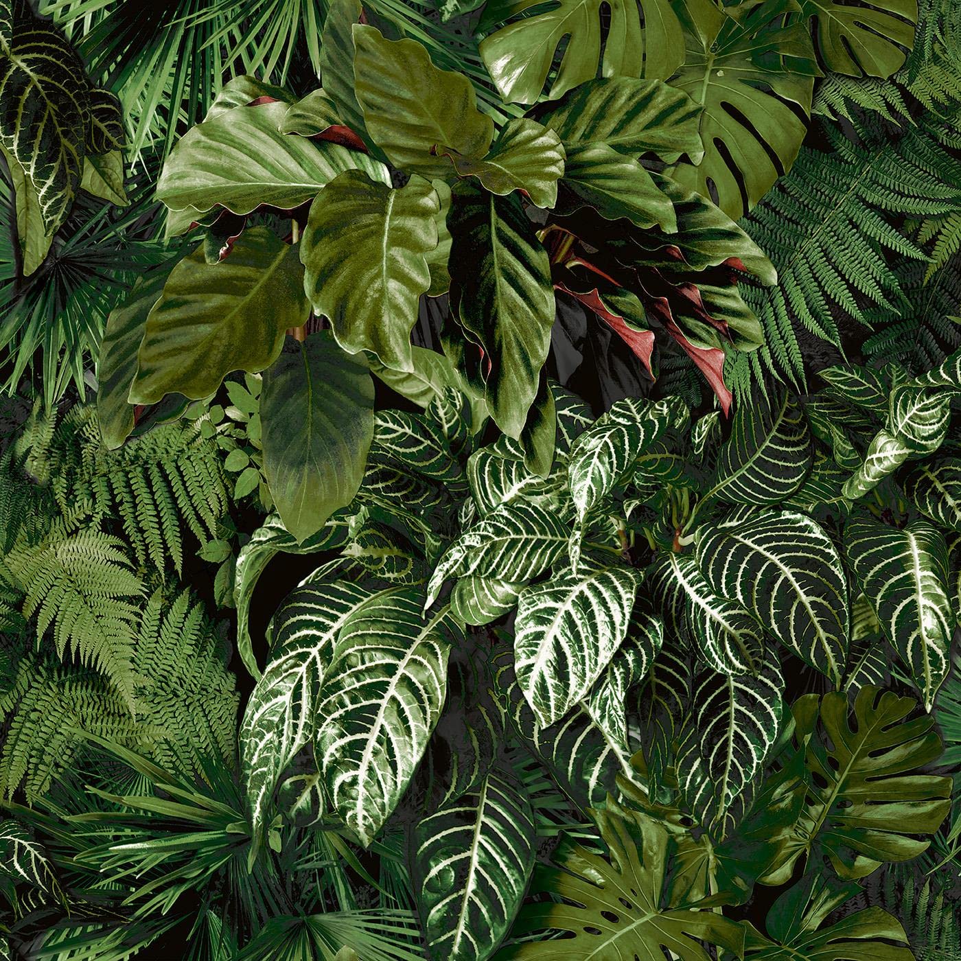 Yöl Green Ciara Tropical Palm Wallpaper - Botanical Leaves Jungle Modern Contemporary Paste The Wall Vinyl