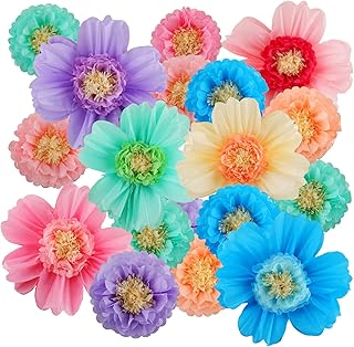 Crowye Large Colorful Tissue Paper Flowers Decorations 20