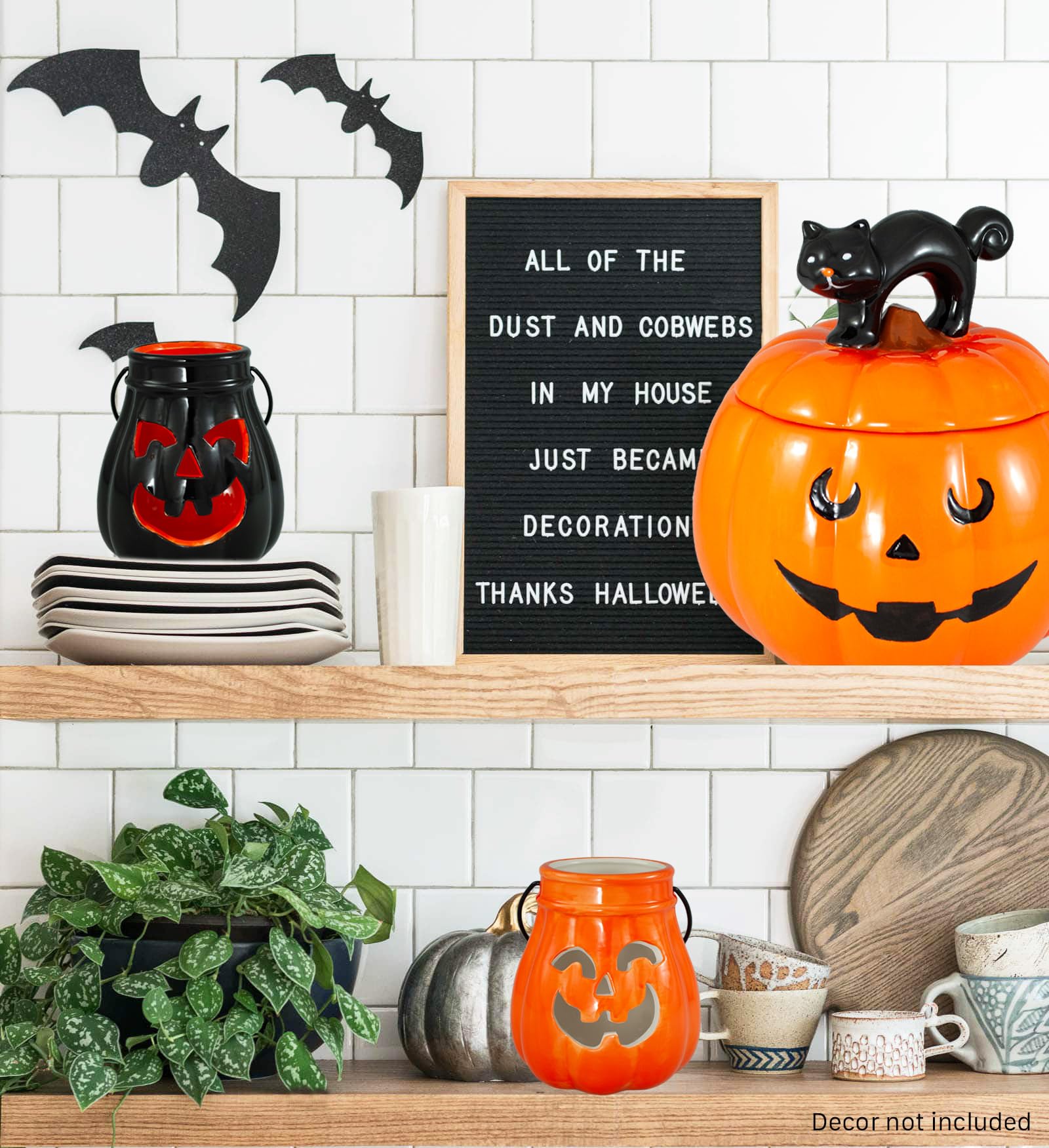 Amazon.com: Hanna's Handiworks Halloween Cat on Pumpkin Jack O