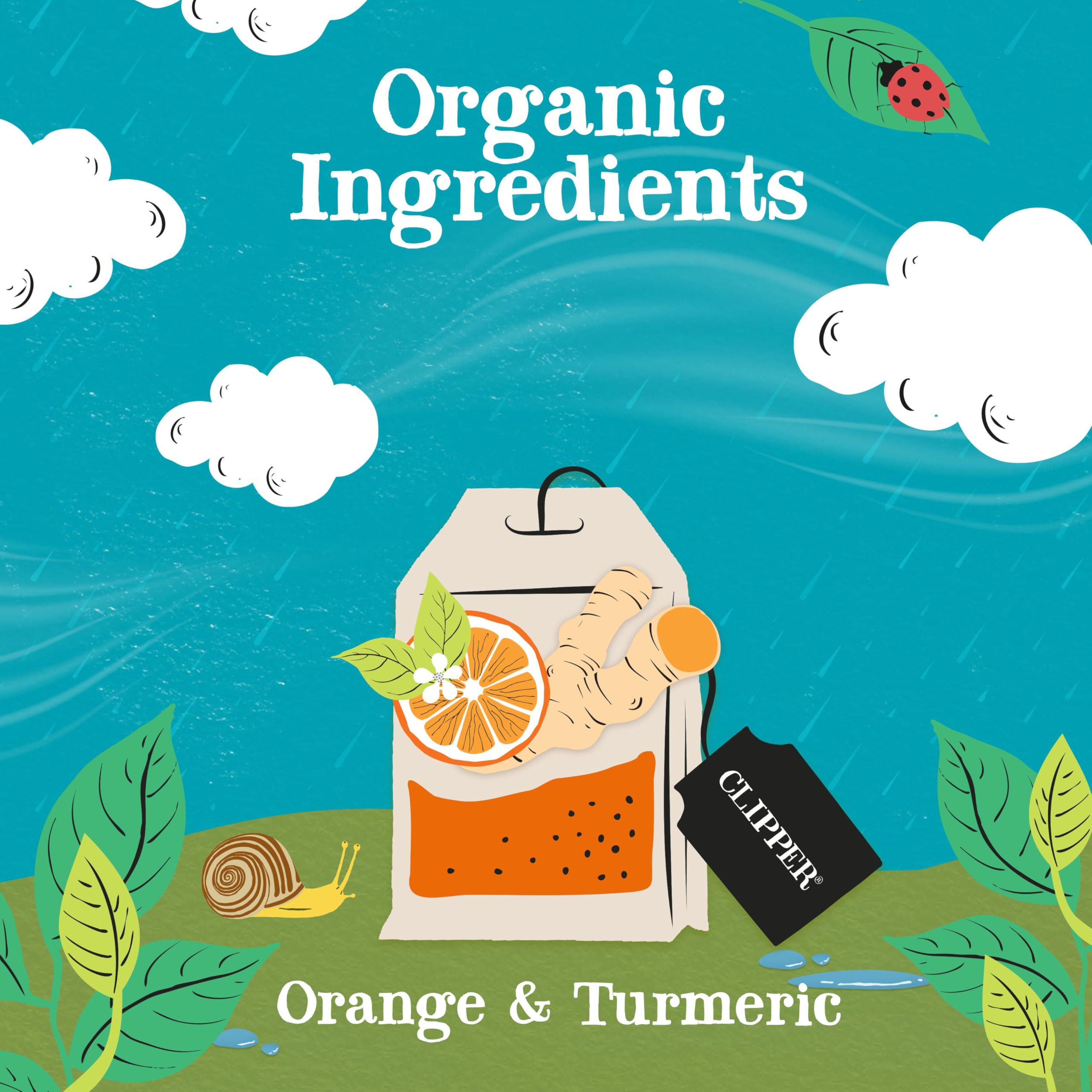 Clipper Tea, Orange & Turmeric, Organic Tea with Licorice Root, Orange Peel and Hibiscus, Plant Based Herbal Tea, Caffeine Free British Tea, 1 Pack, 20 Unbleached Tea Bags thumbnail 3