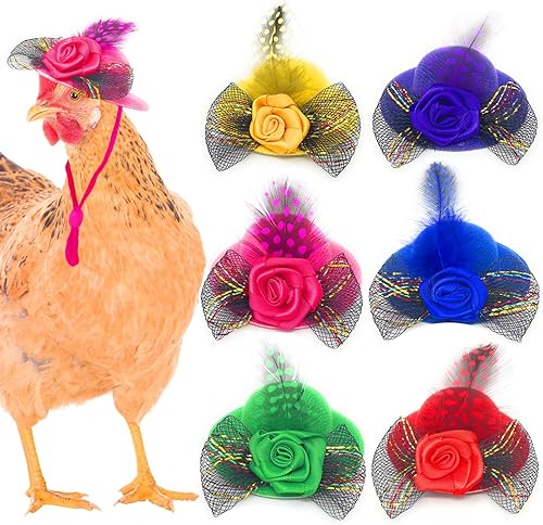 Miniatura 29 de 6 sombreros de pollo para gallinas, ropa de pollo, disfraces para pollos, sombreros para pollos, disfraz de dragón barbudo, sombreros pequeños
