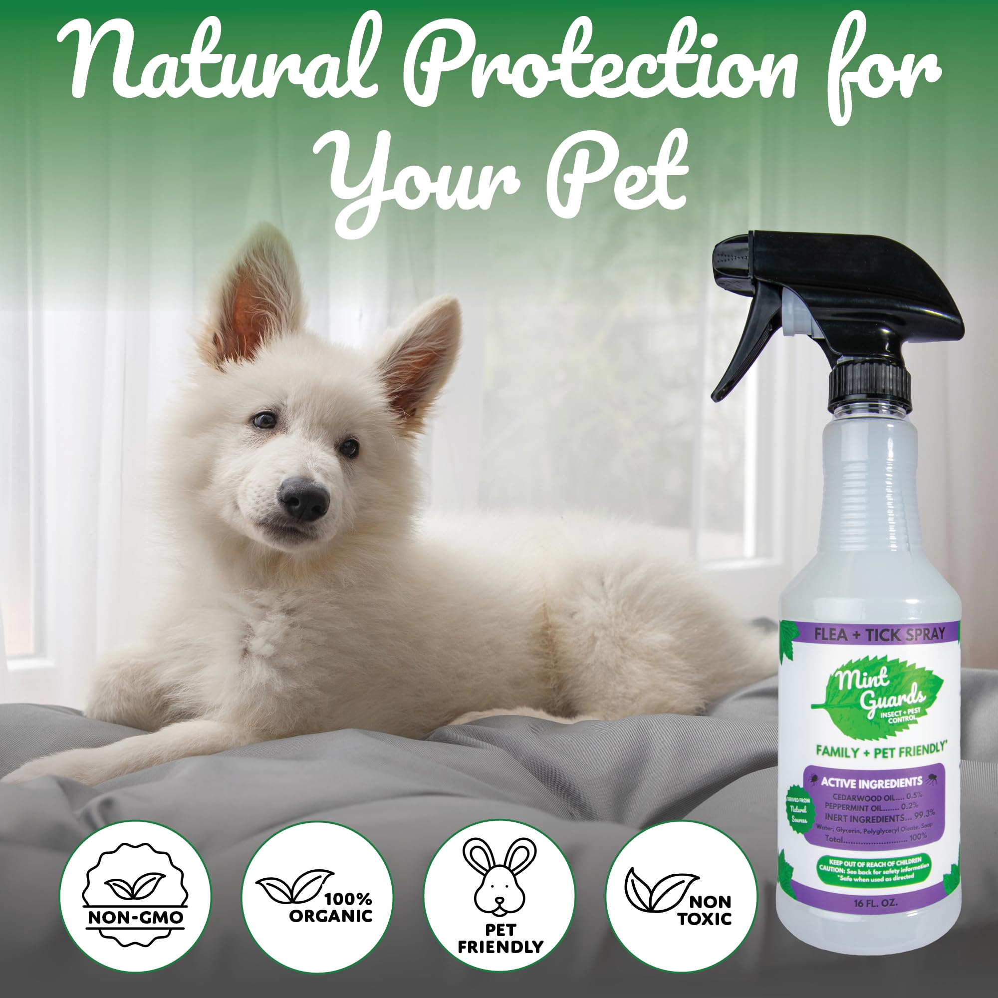 ZOECON Precor 2000 Plus Premise Spray - 16 oz. can